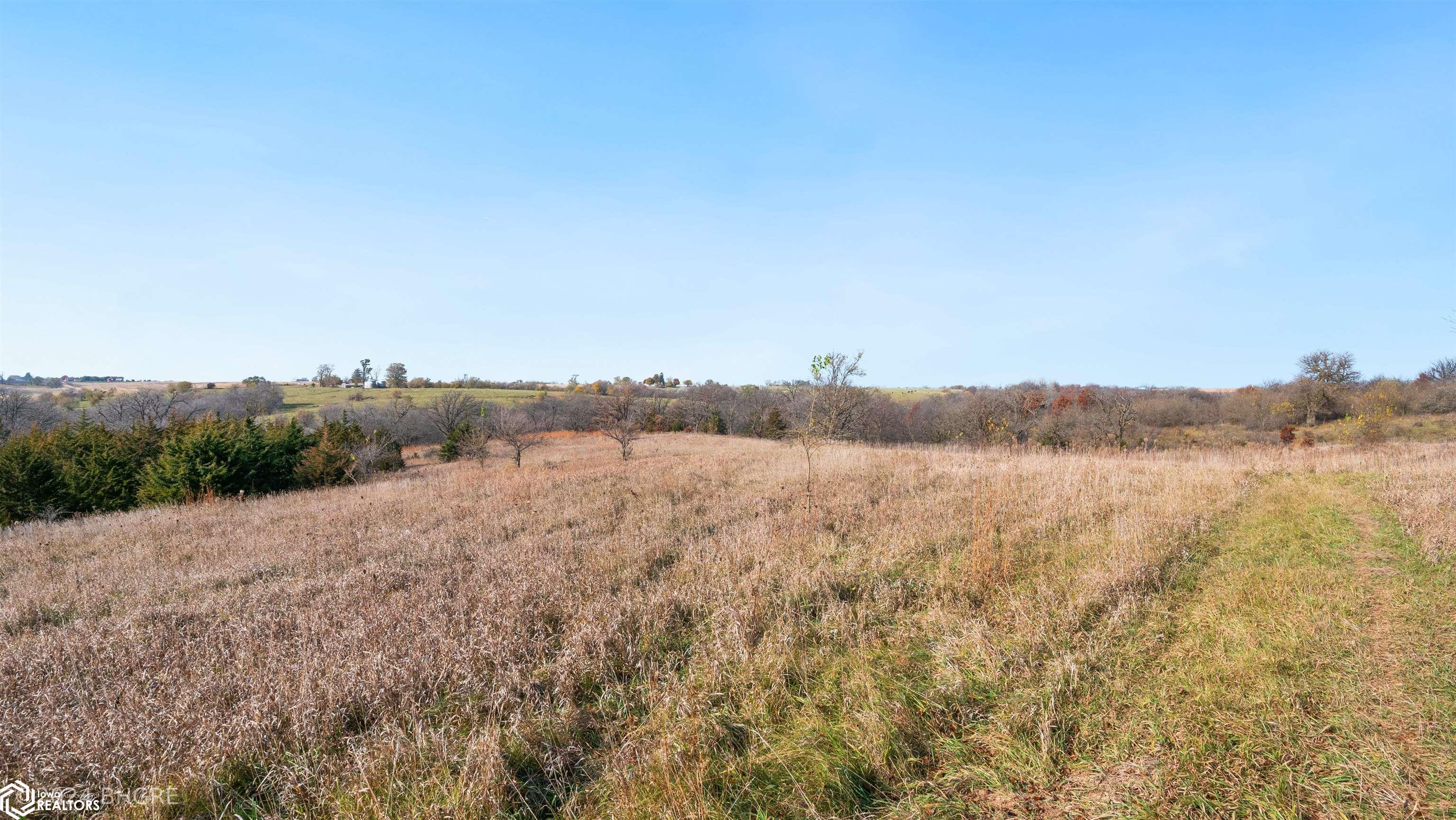 32700 BLK Tulip Trail, Menlo, Iowa image 6