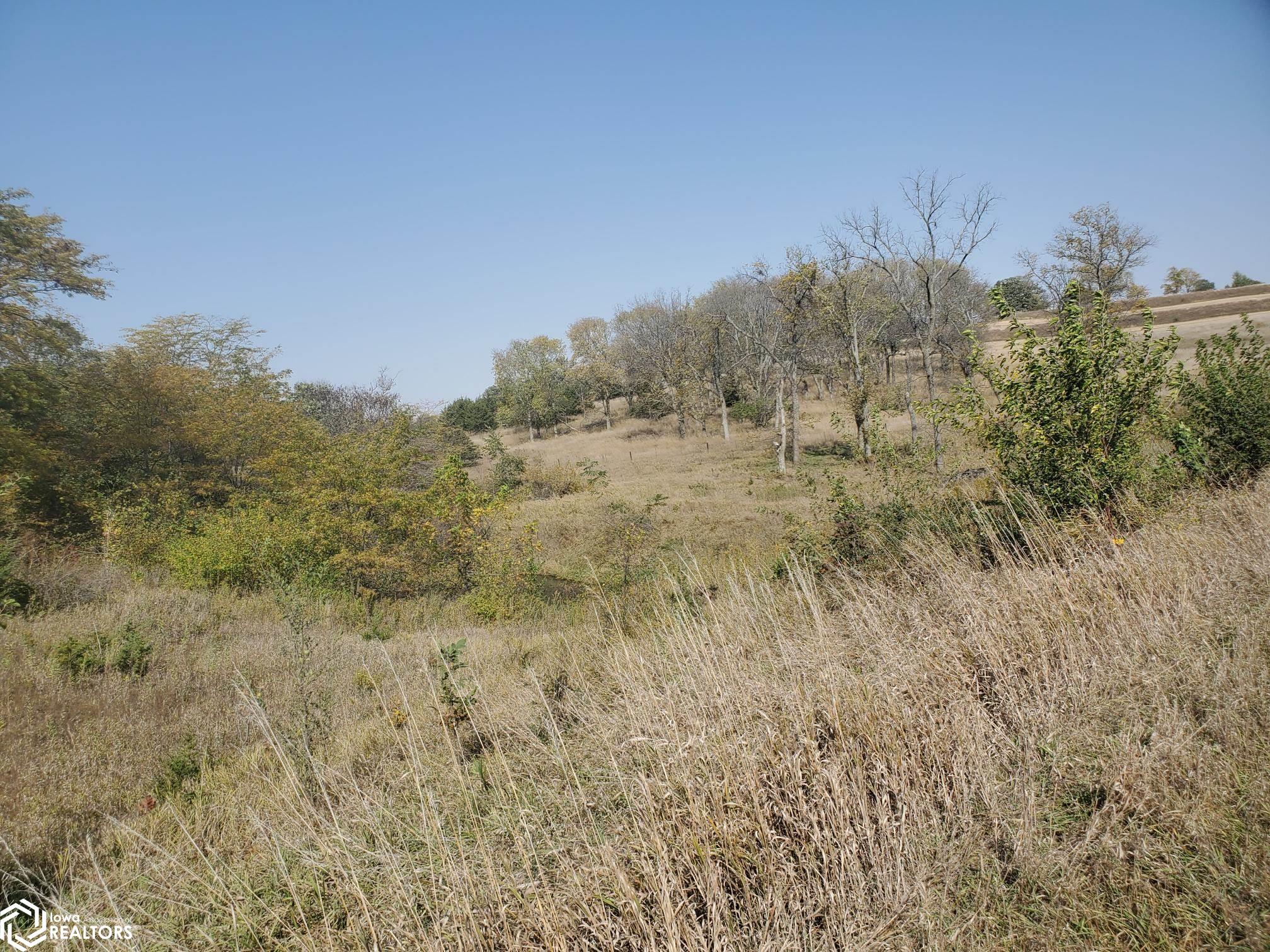 44290 Chestnut Road, Carson, Iowa image 14