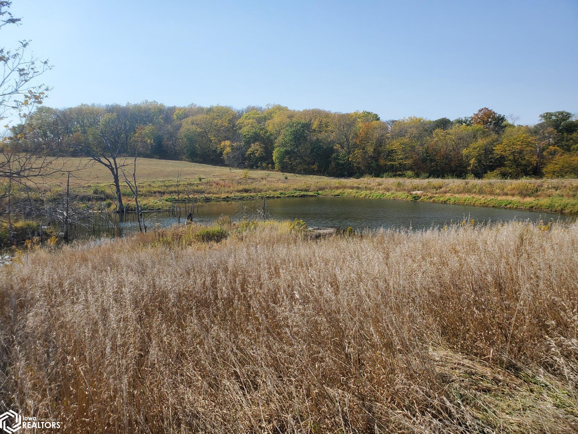 44290 Chestnut Road, Carson, Iowa image 17