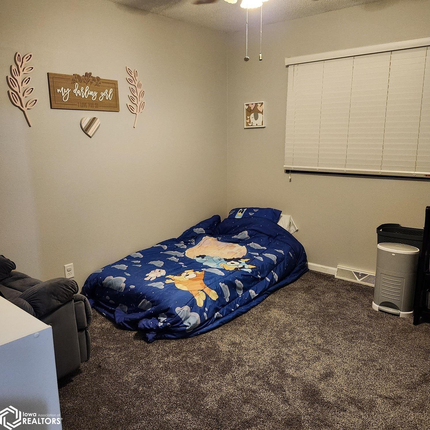 1105 Elm St, Rolfe, Iowa image 15