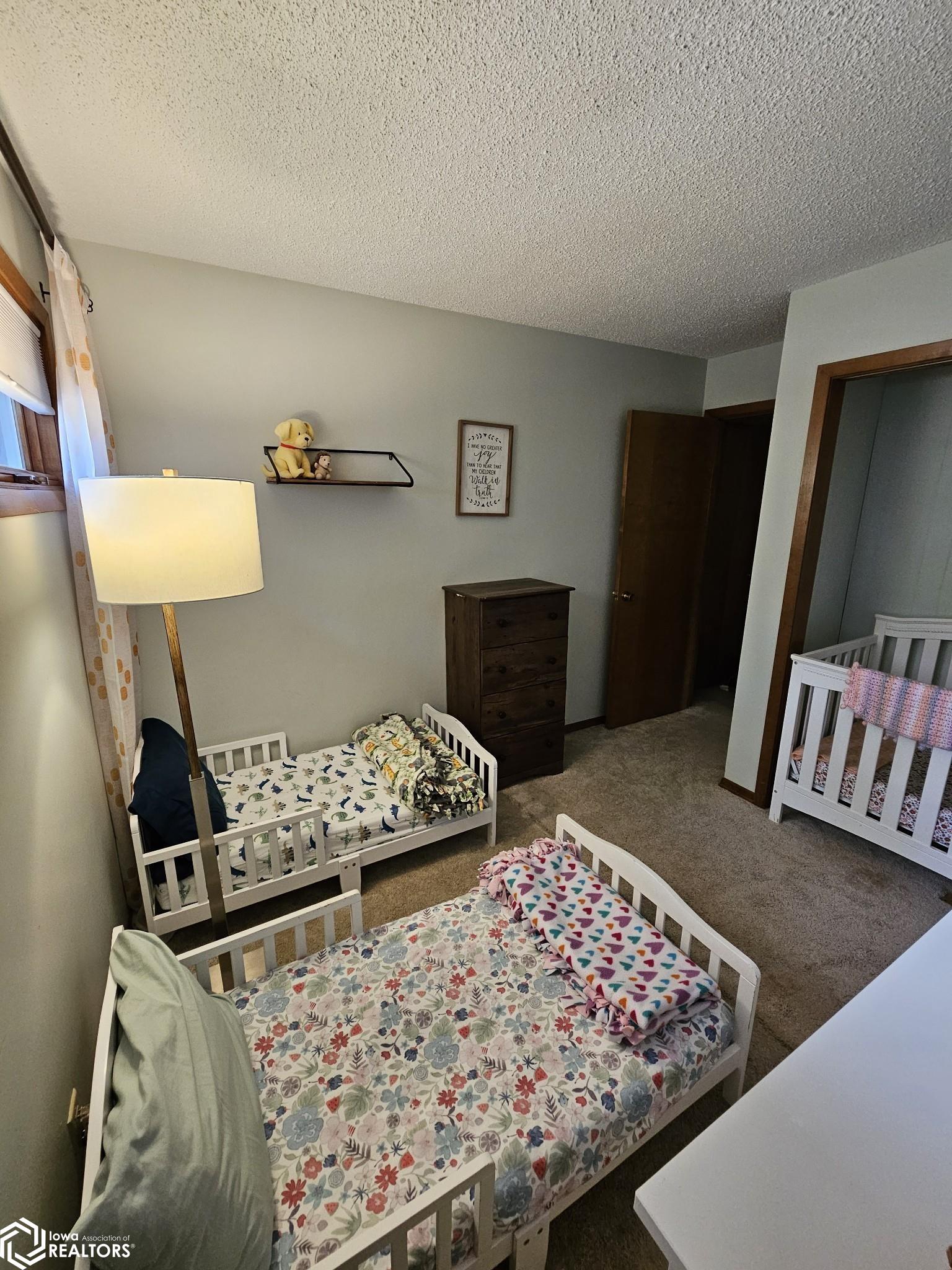 1411 Elm Street, Hamilton, Illinois image 35