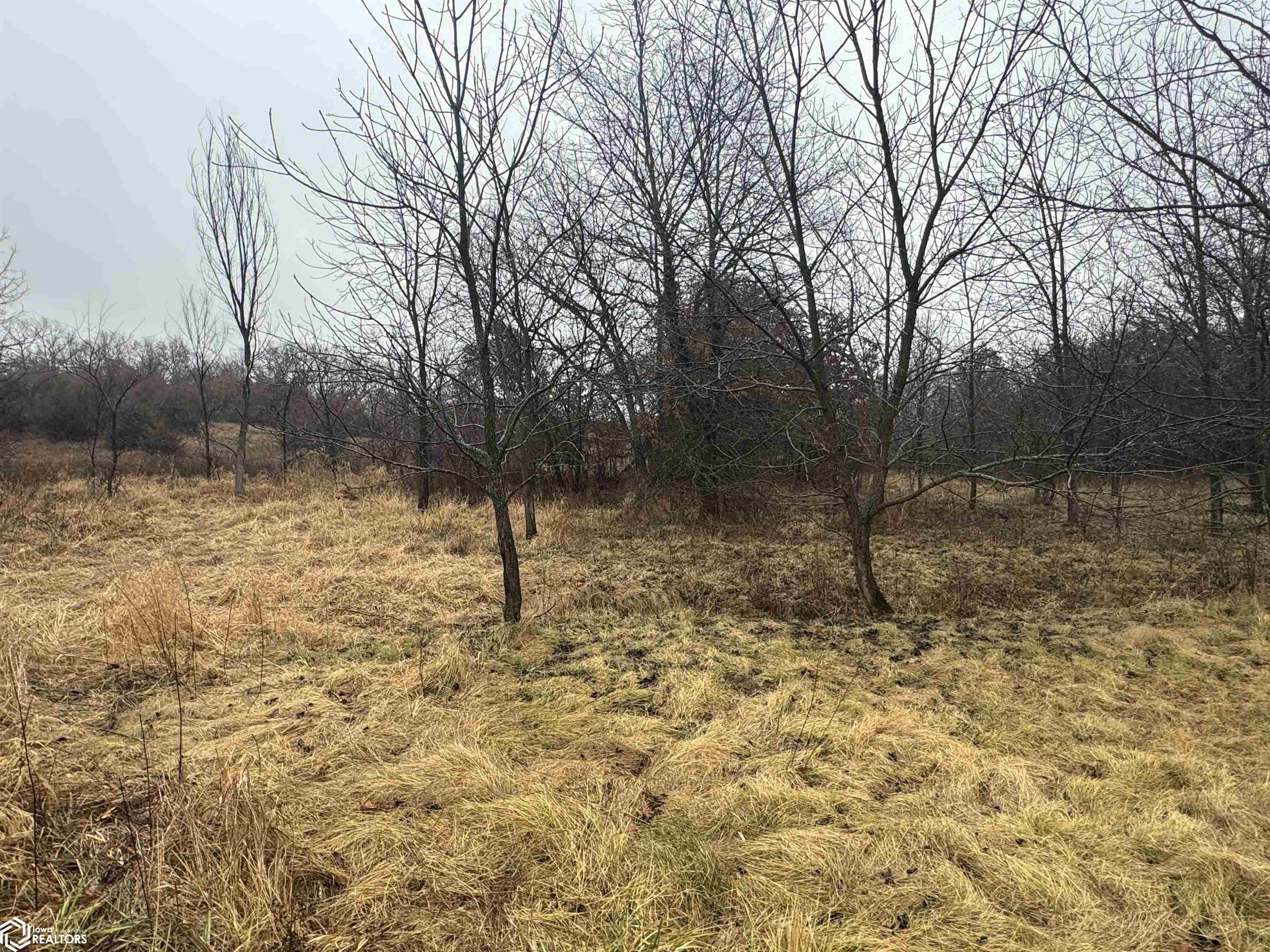 Wheat Ave, Bloomfield, Iowa image 11