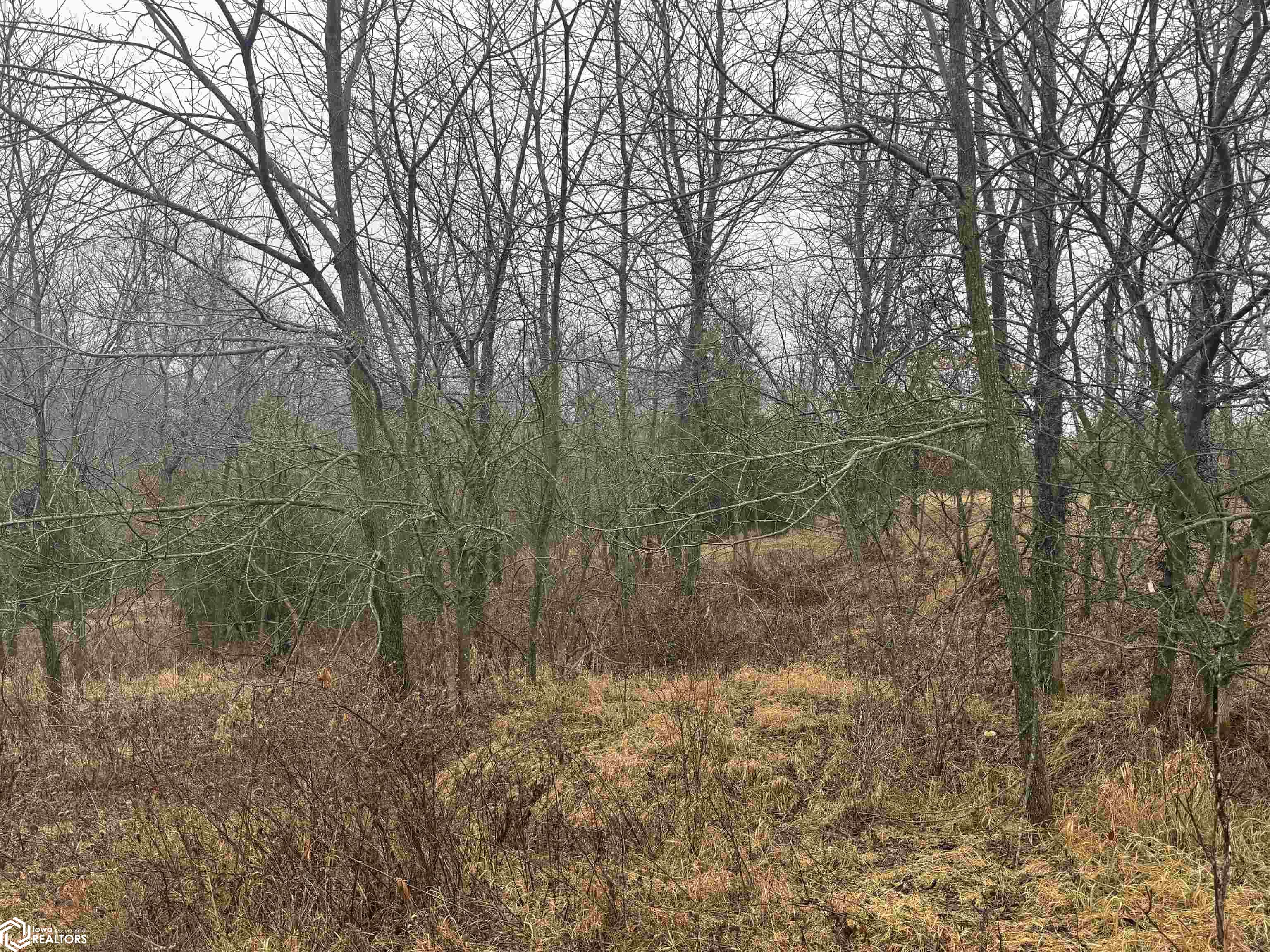 Wheat Ave, Bloomfield, Iowa image 14