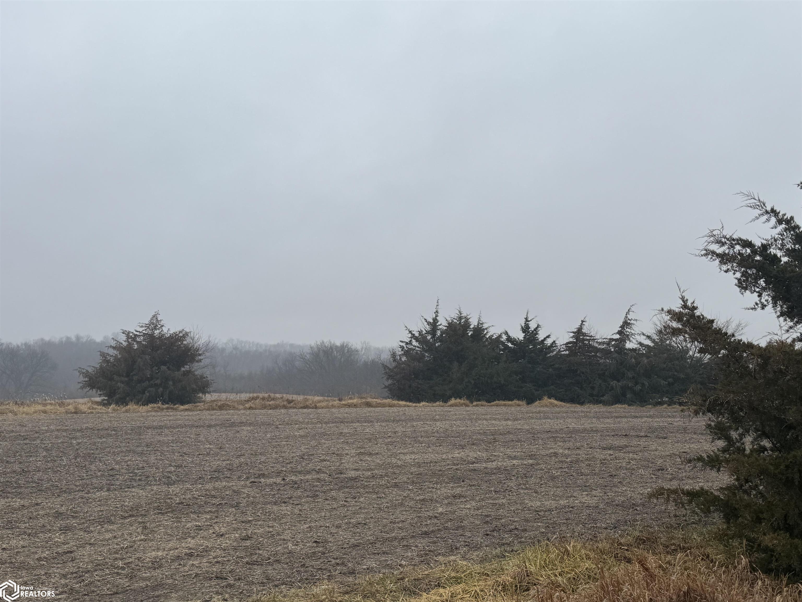 Wheat Ave, Bloomfield, Iowa image 3