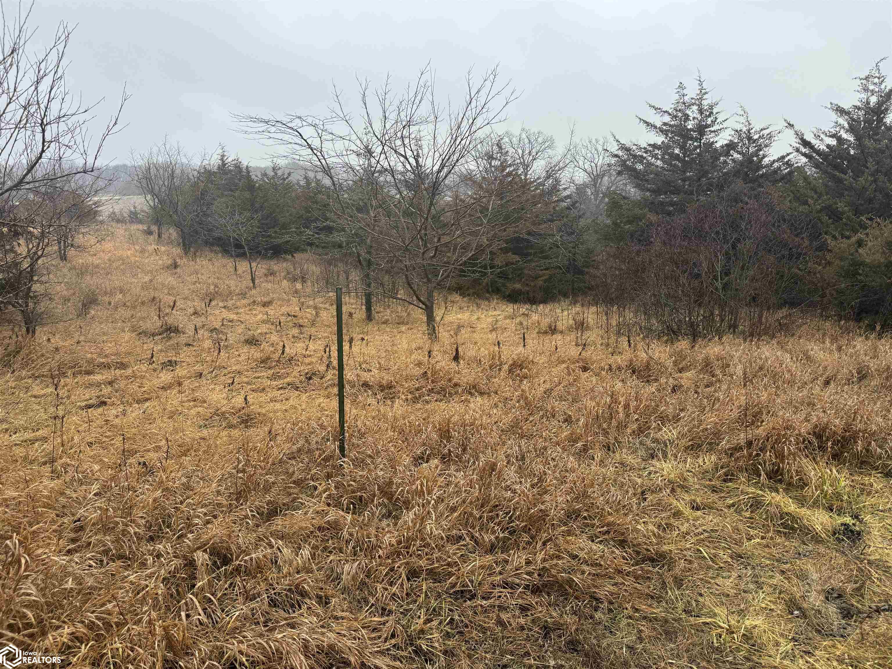 Wheat Ave, Bloomfield, Iowa image 6