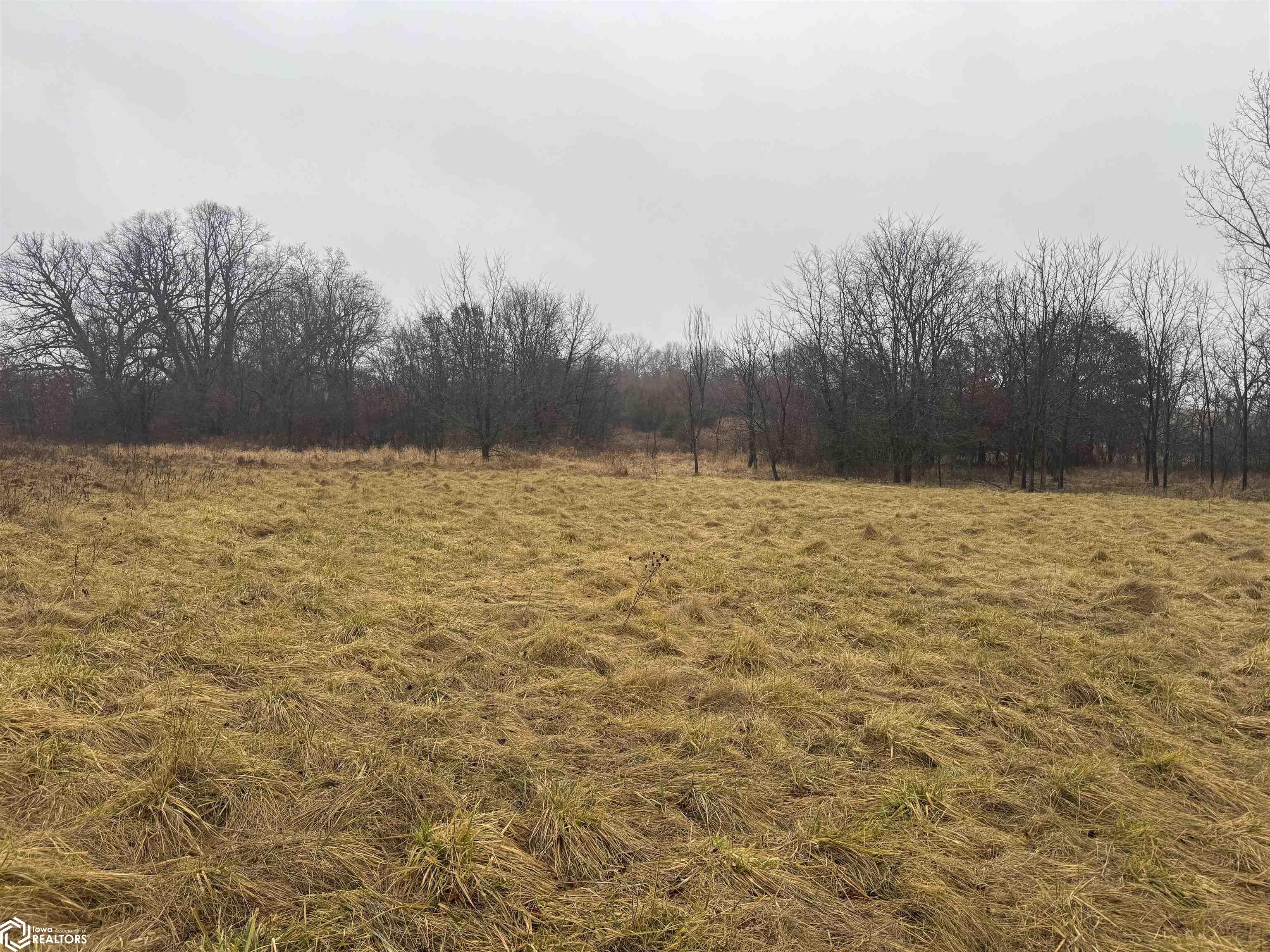 Wheat Ave, Bloomfield, Iowa image 8