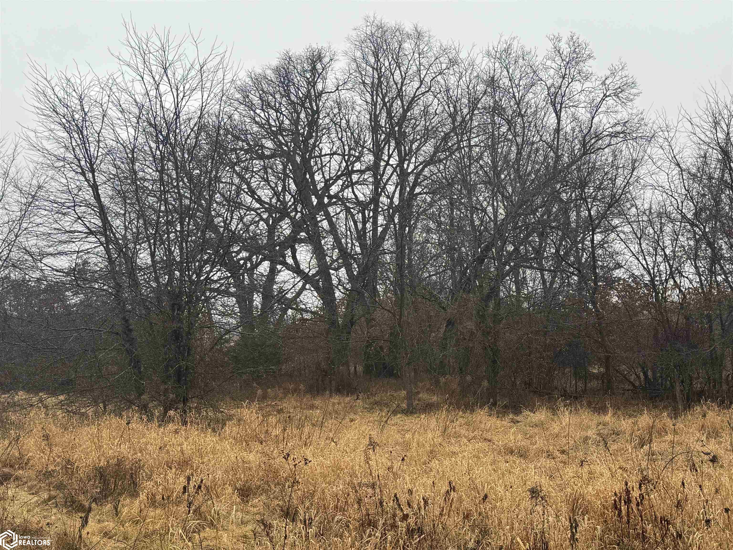 Wheat Ave, Bloomfield, Iowa image 9