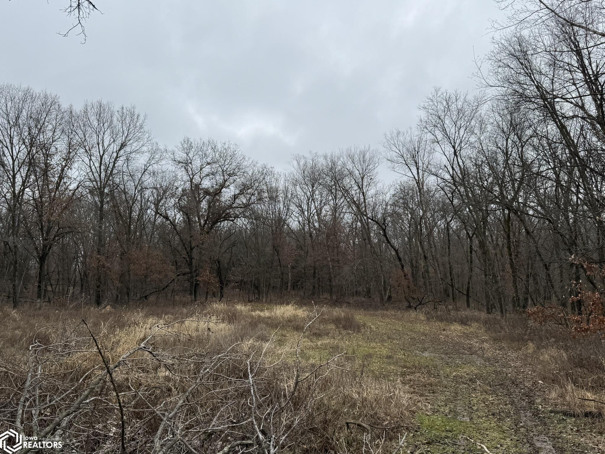 13241 Hickory Blvd, Drakesville, Iowa image 11