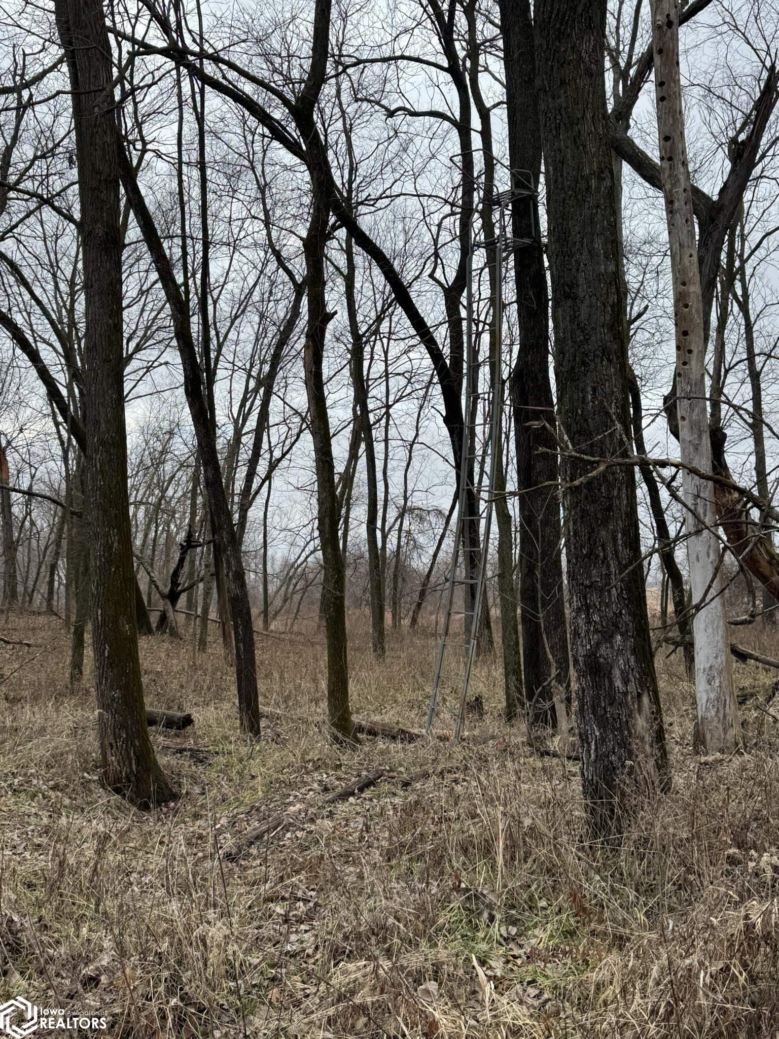 13241 Hickory Blvd, Drakesville, Iowa image 12