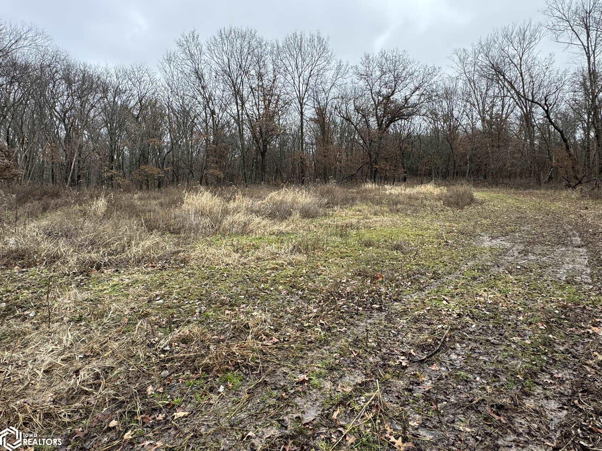 13241 Hickory Blvd, Drakesville, Iowa image 14