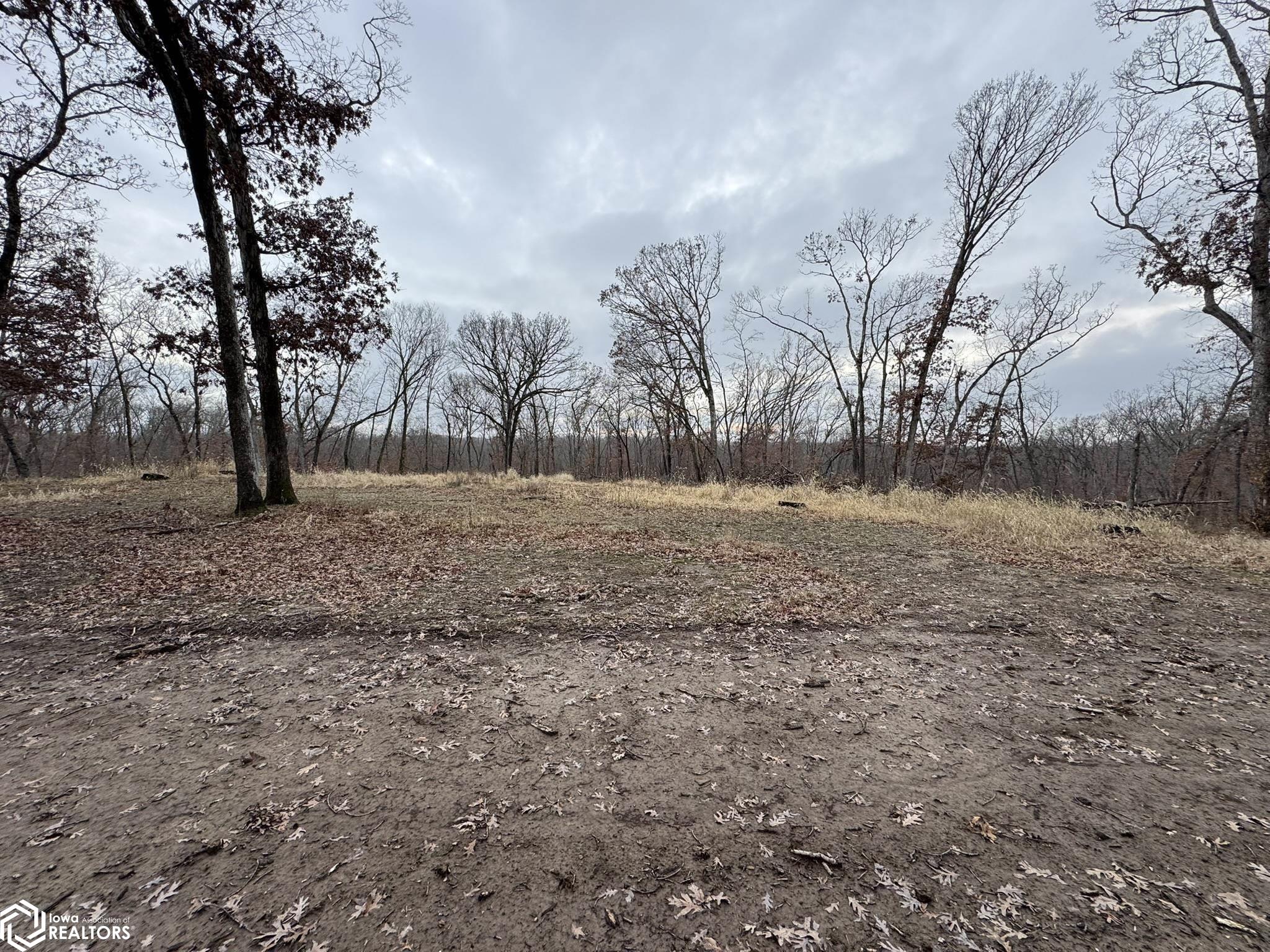13241 Hickory Blvd, Drakesville, Iowa image 17