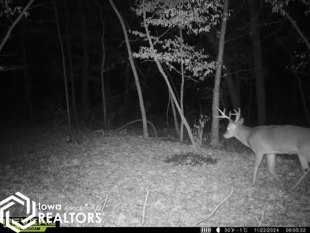 13241 Hickory Blvd, Drakesville, Iowa image 33