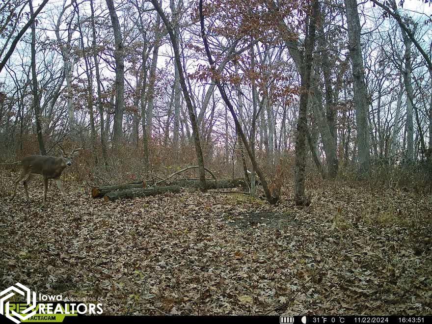13241 Hickory Blvd, Drakesville, Iowa image 35