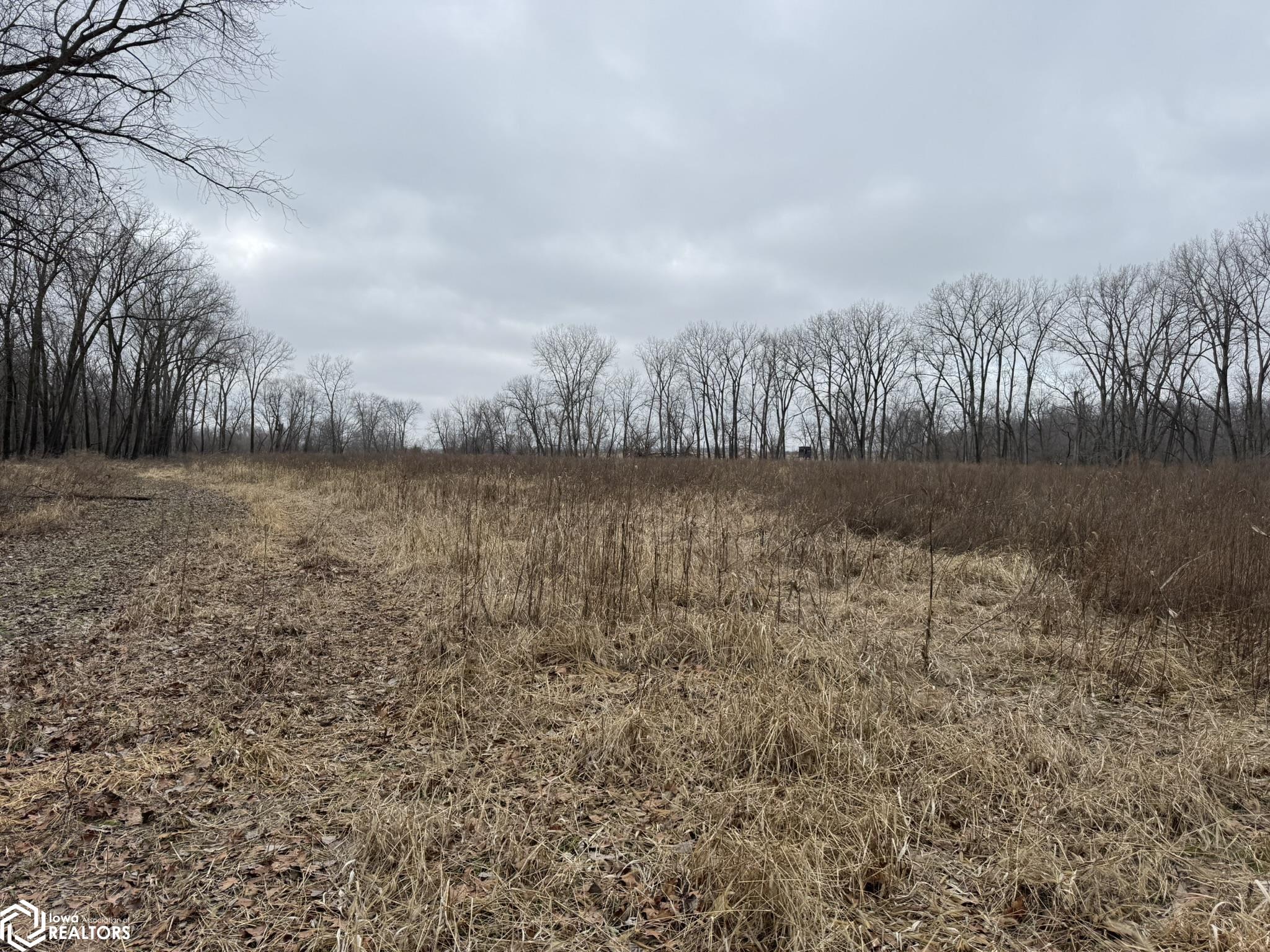 13241 Hickory Blvd, Drakesville, Iowa image 7