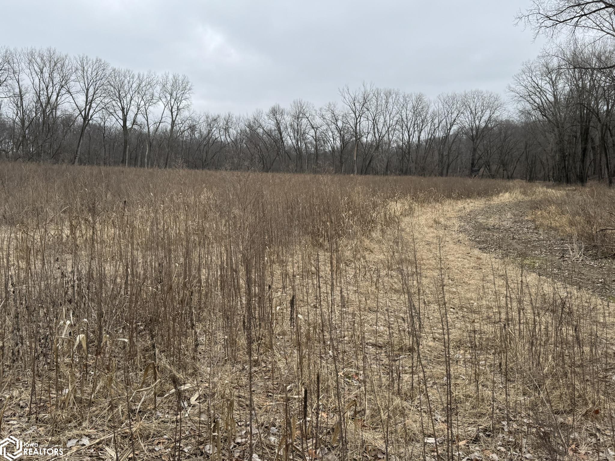 13241 Hickory Blvd, Drakesville, Iowa image 10