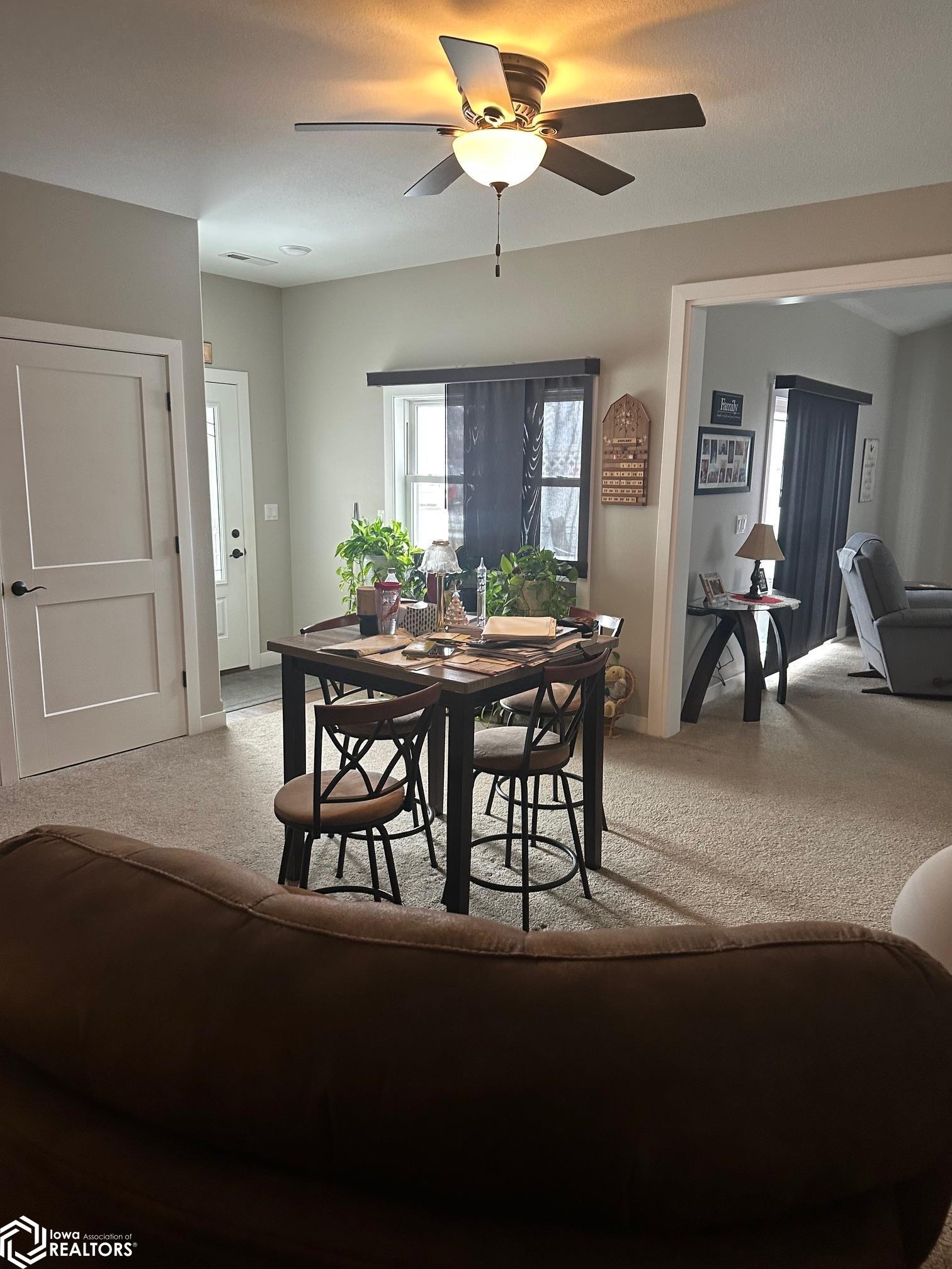 201 E Lincoln Ave, Fairfield, Iowa image 8