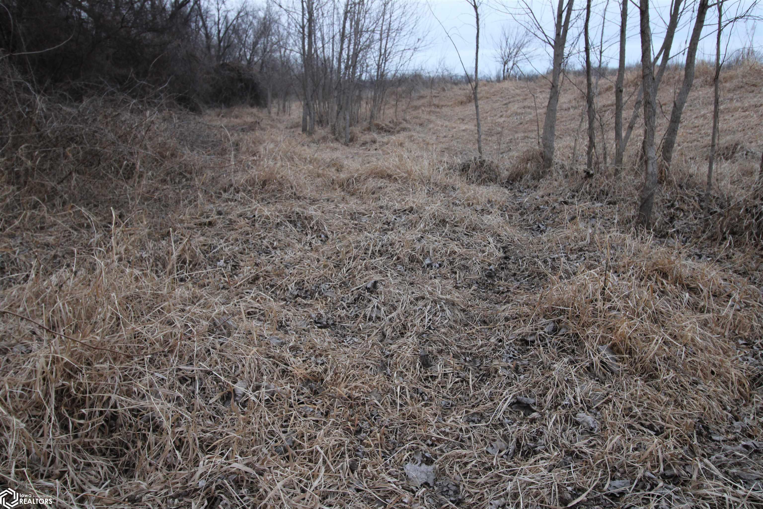 TBD Valley Rd, Keokuk, Iowa image 11