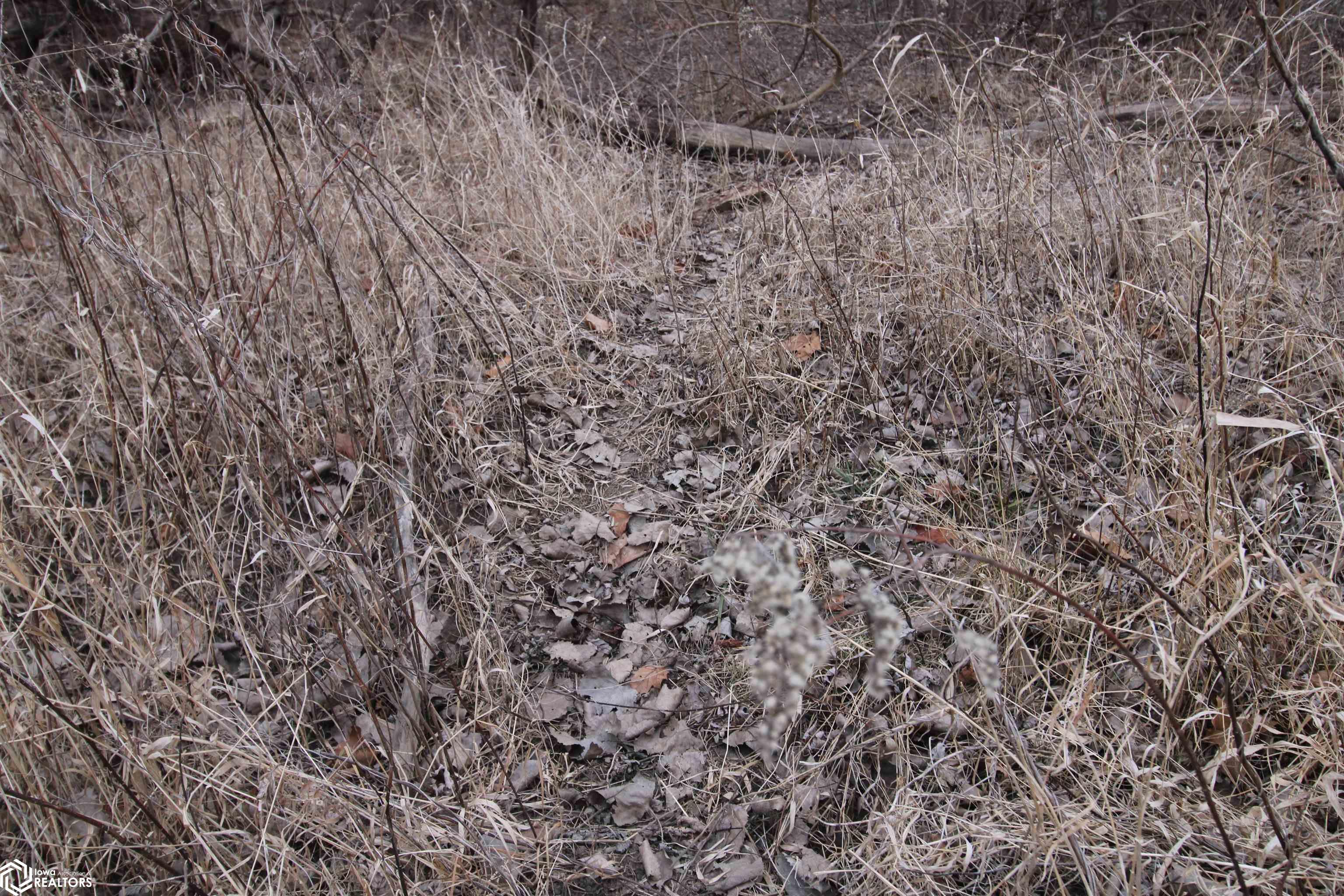 TBD Valley Rd, Keokuk, Iowa image 21