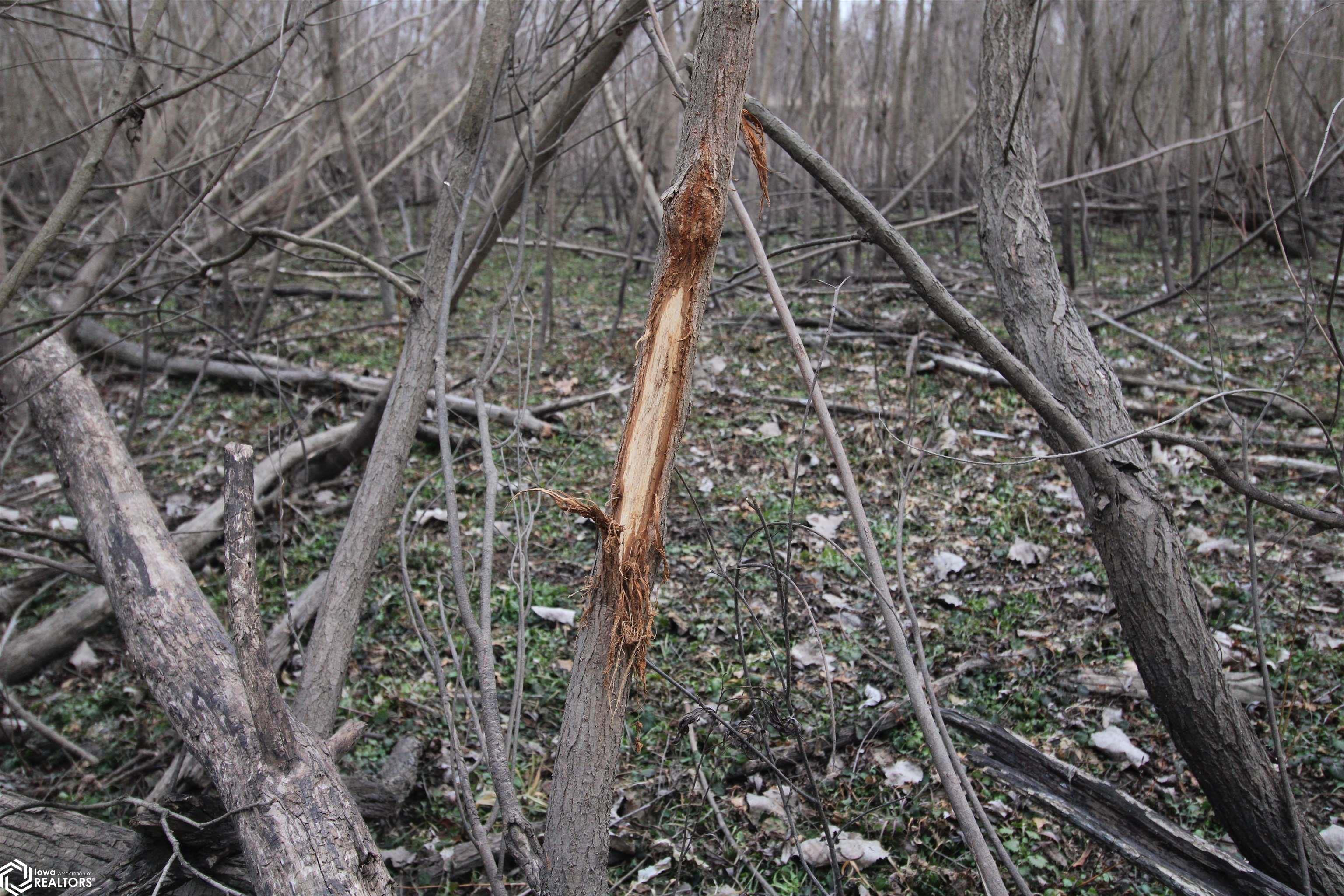 TBD Valley Rd, Keokuk, Iowa image 23