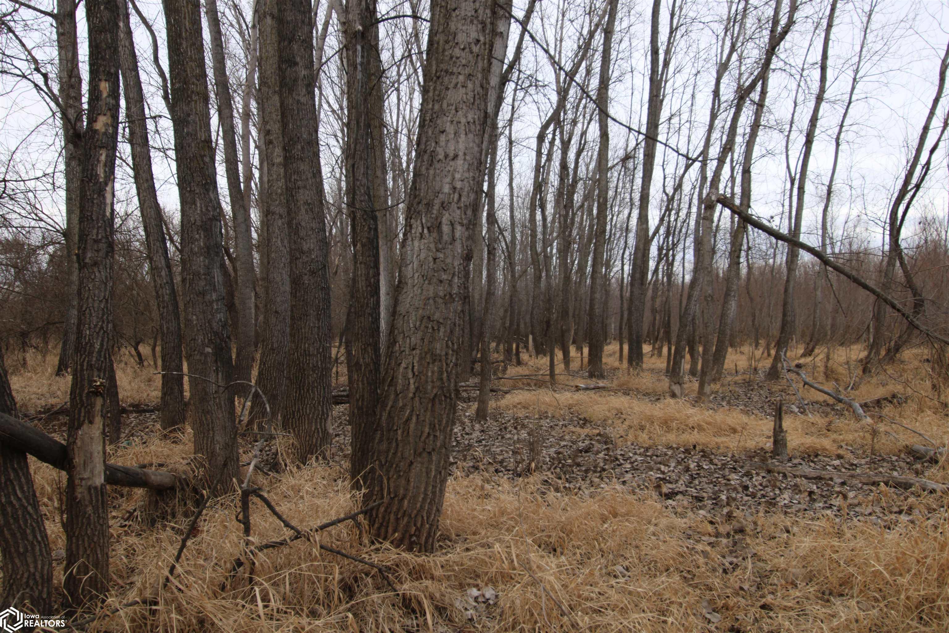 TBD Valley Rd, Keokuk, Iowa image 34