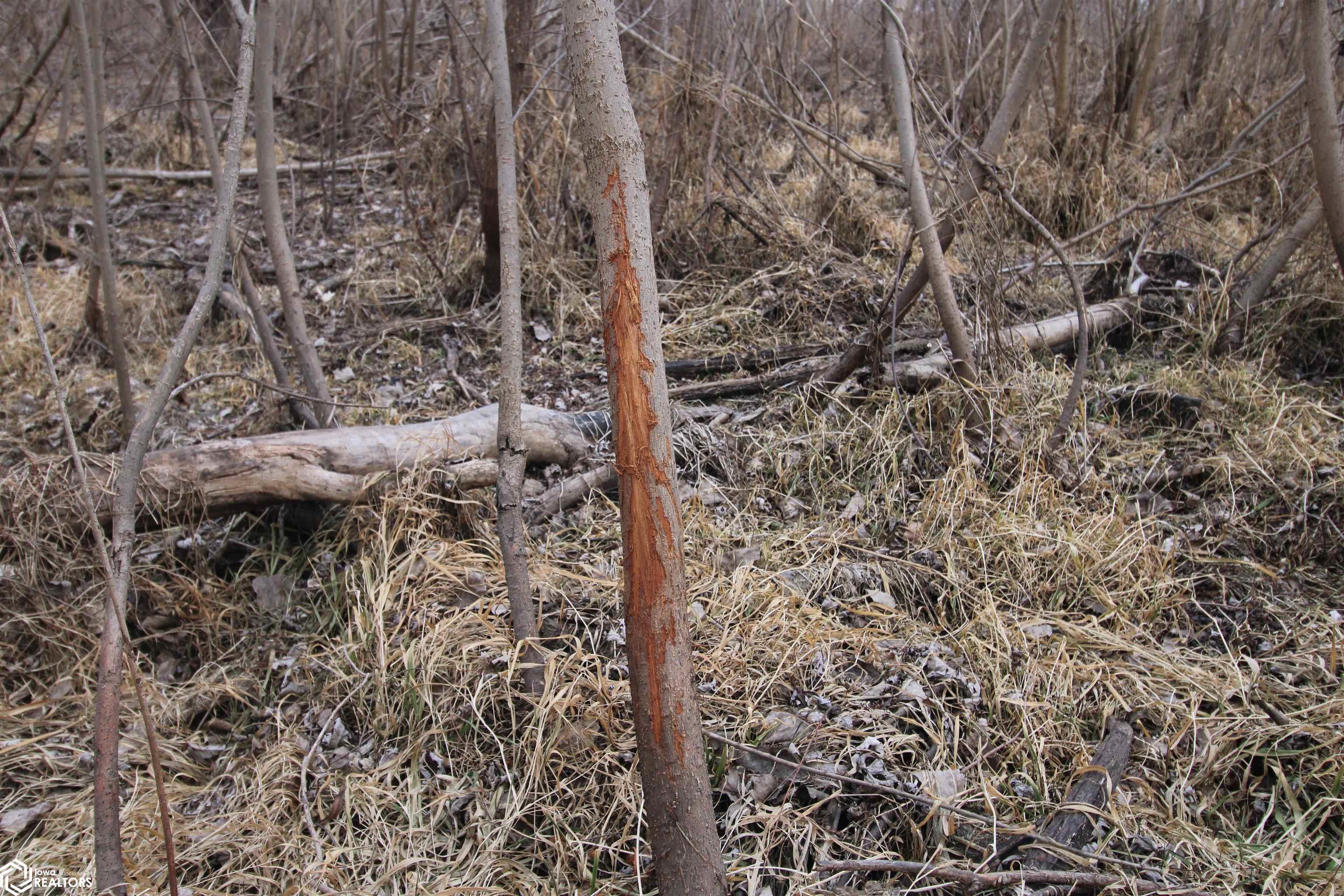 TBD Valley Rd, Keokuk, Iowa image 35