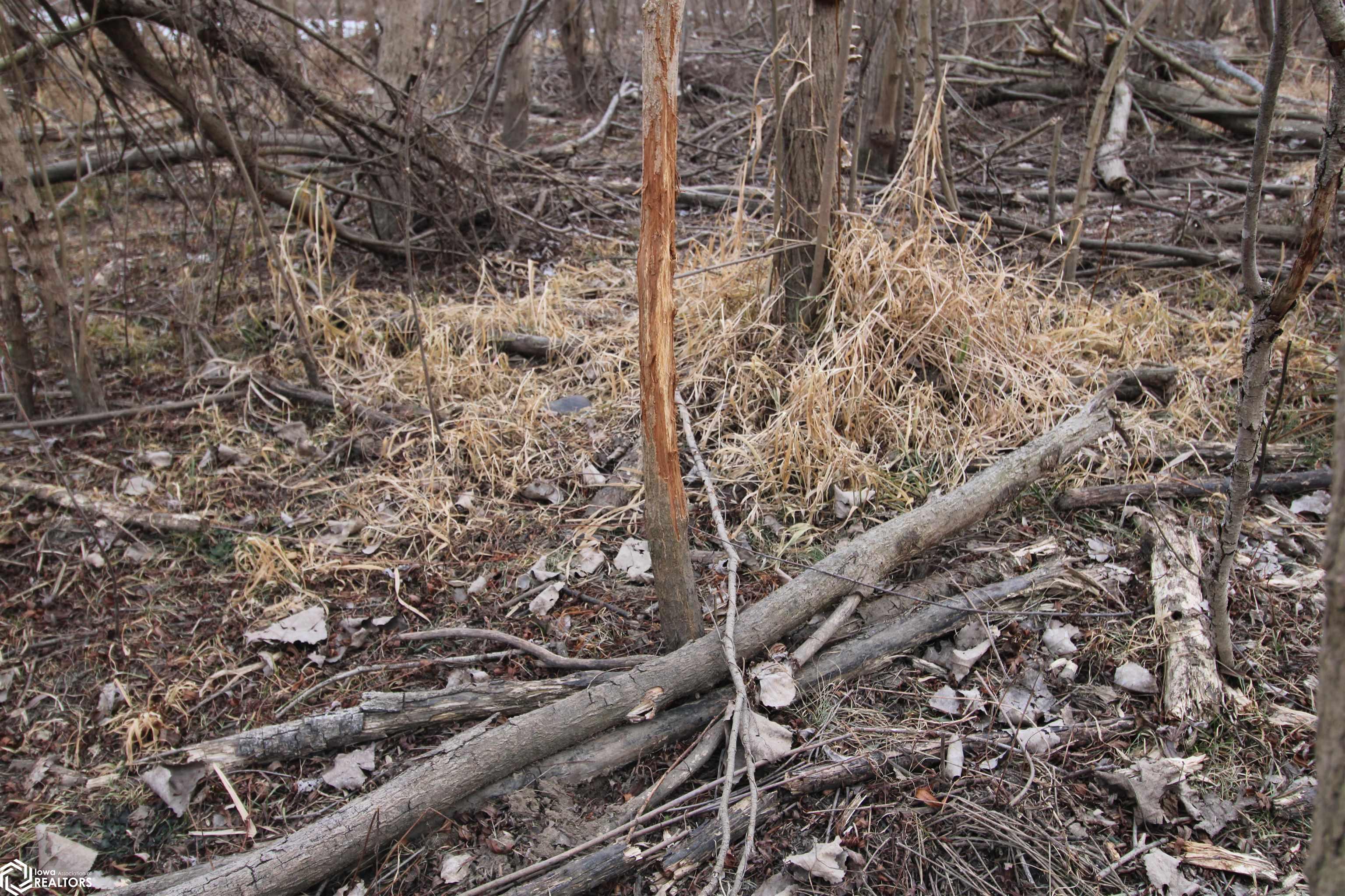 TBD Valley Rd, Keokuk, Iowa image 37