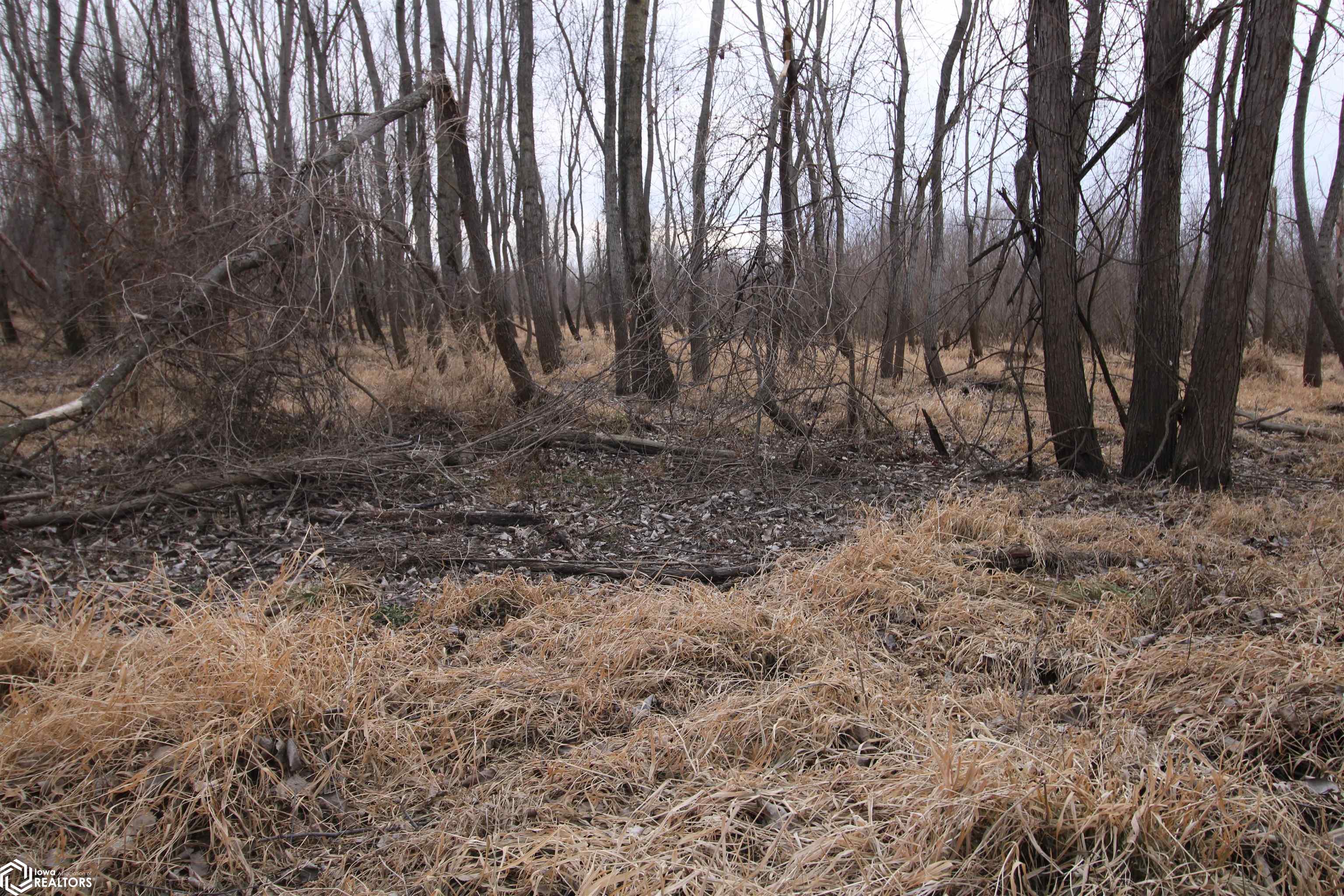 TBD Valley Rd, Keokuk, Iowa image 15