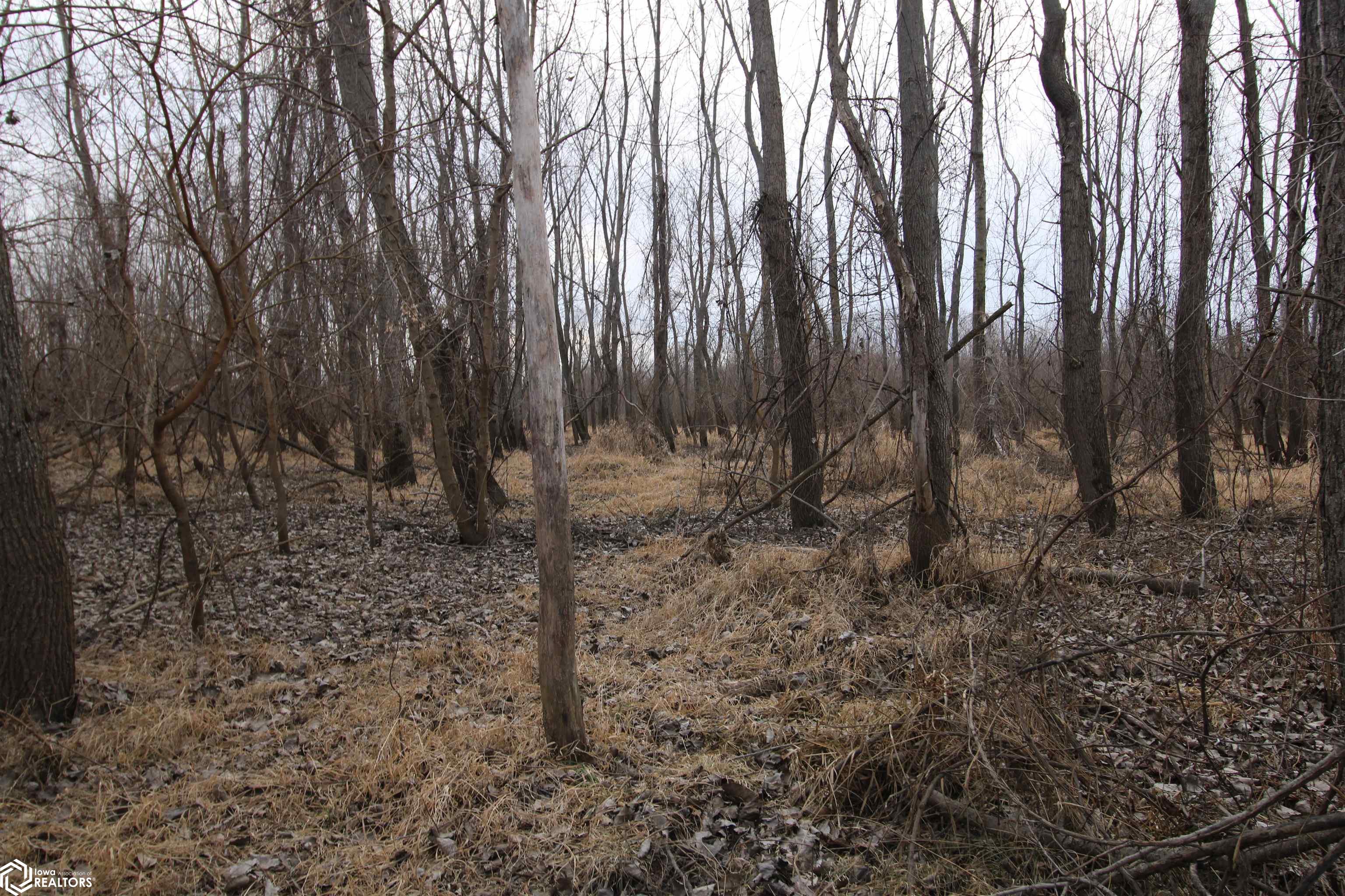 TBD Valley Rd, Keokuk, Iowa image 16