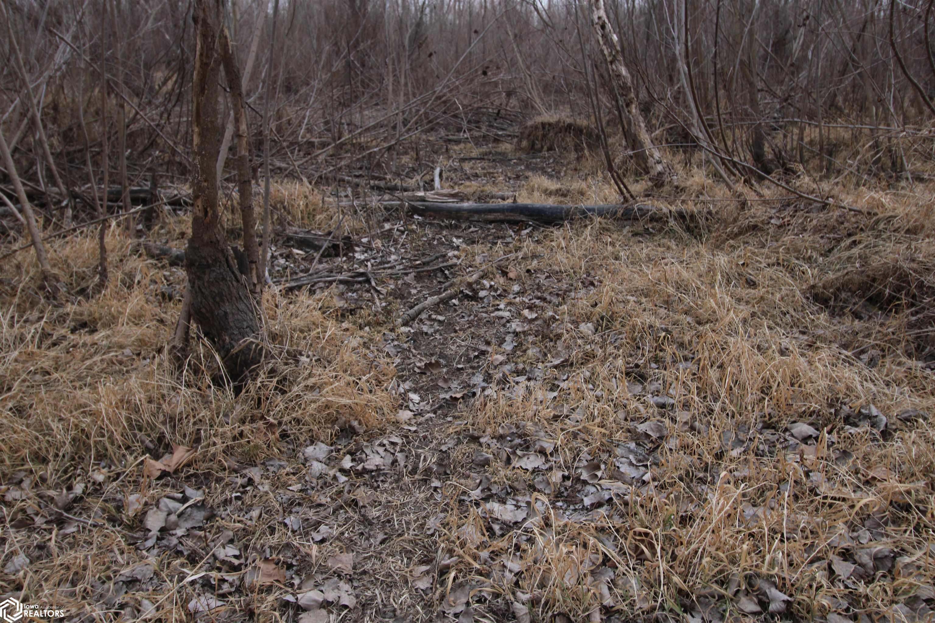 TBD Valley Rd, Keokuk, Iowa image 19