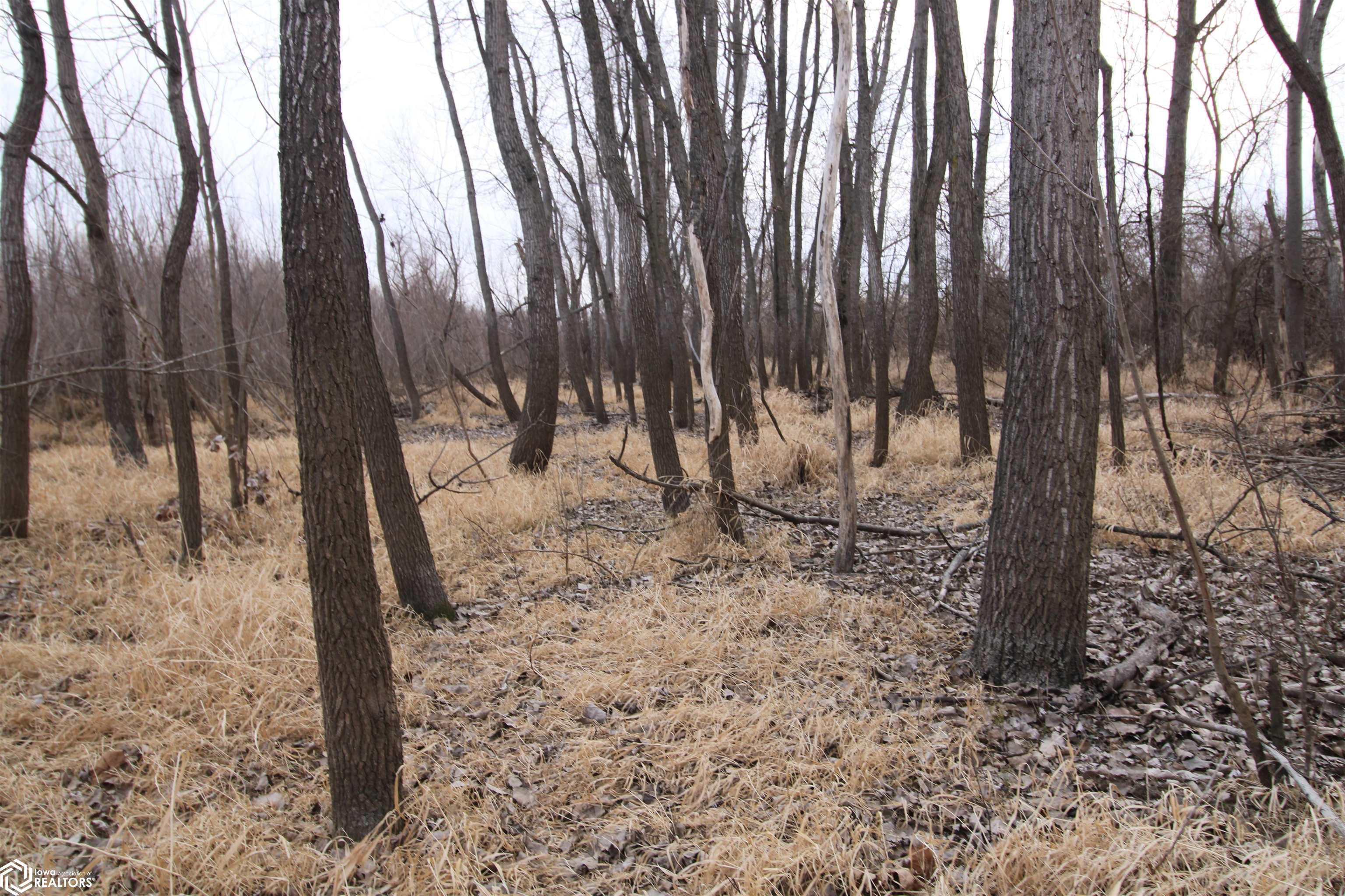 TBD Valley Rd, Keokuk, Iowa image 20