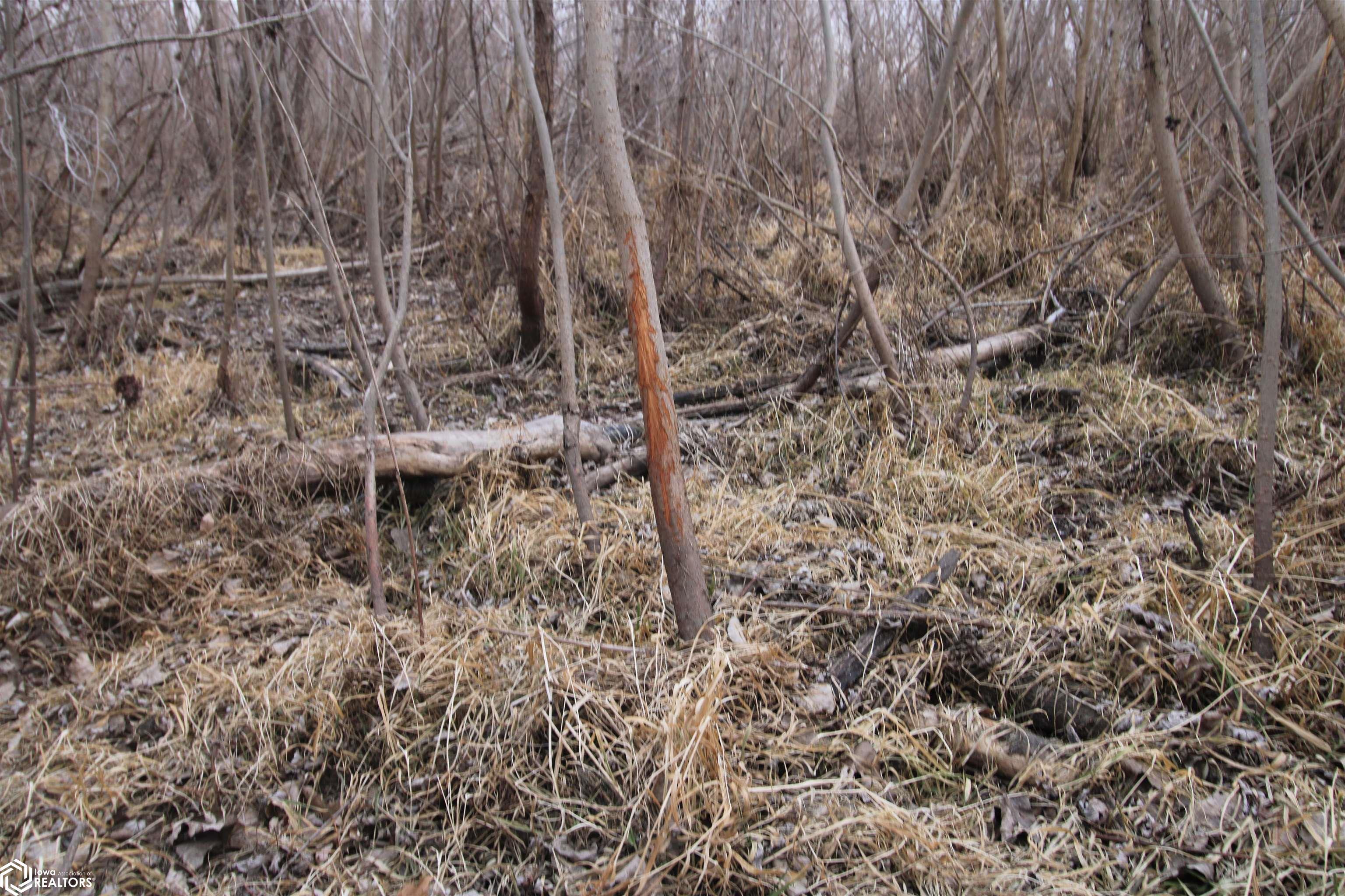 TBD Valley Rd, Keokuk, Iowa image 21