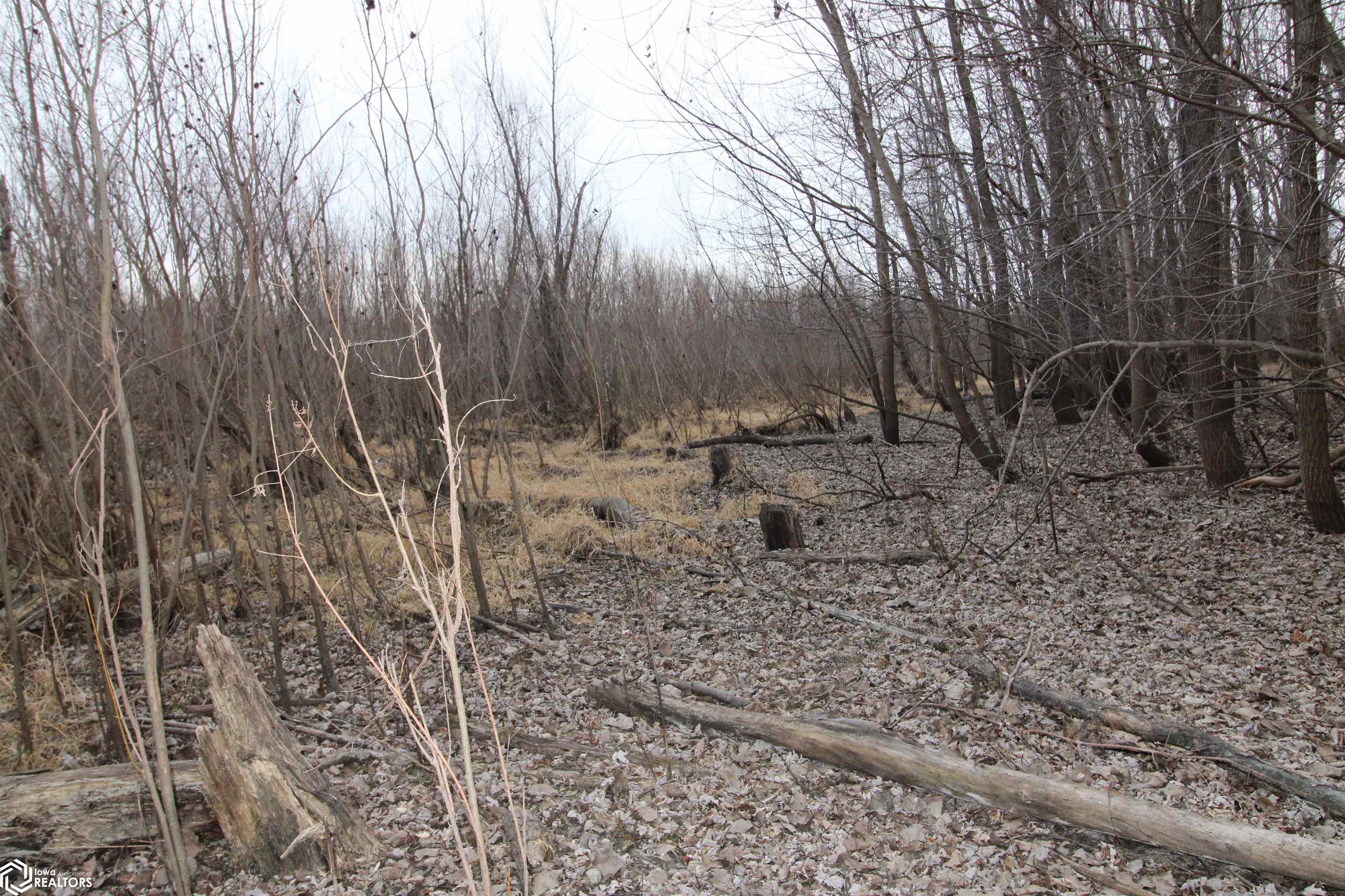 TBD Valley Rd, Keokuk, Iowa image 22