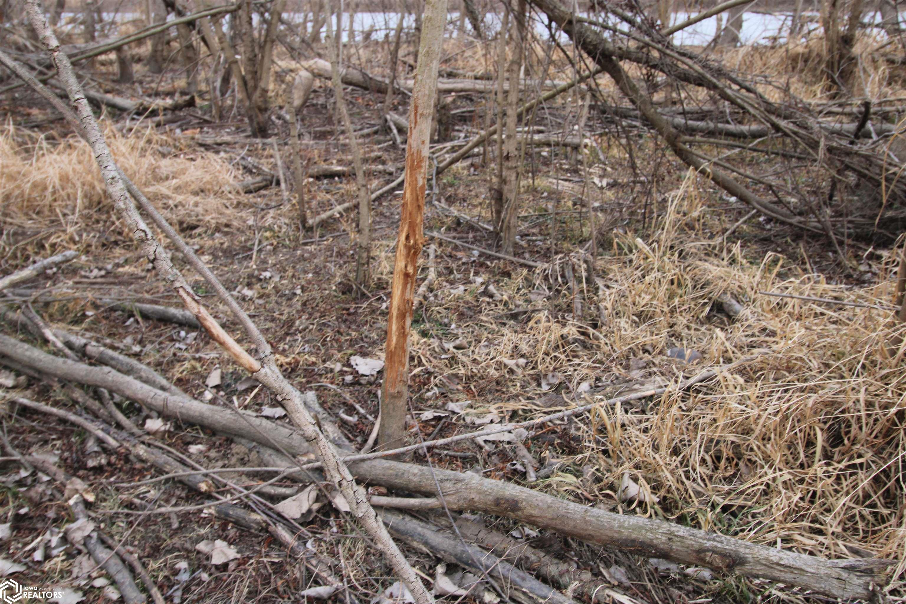 TBD Valley Rd, Keokuk, Iowa image 23