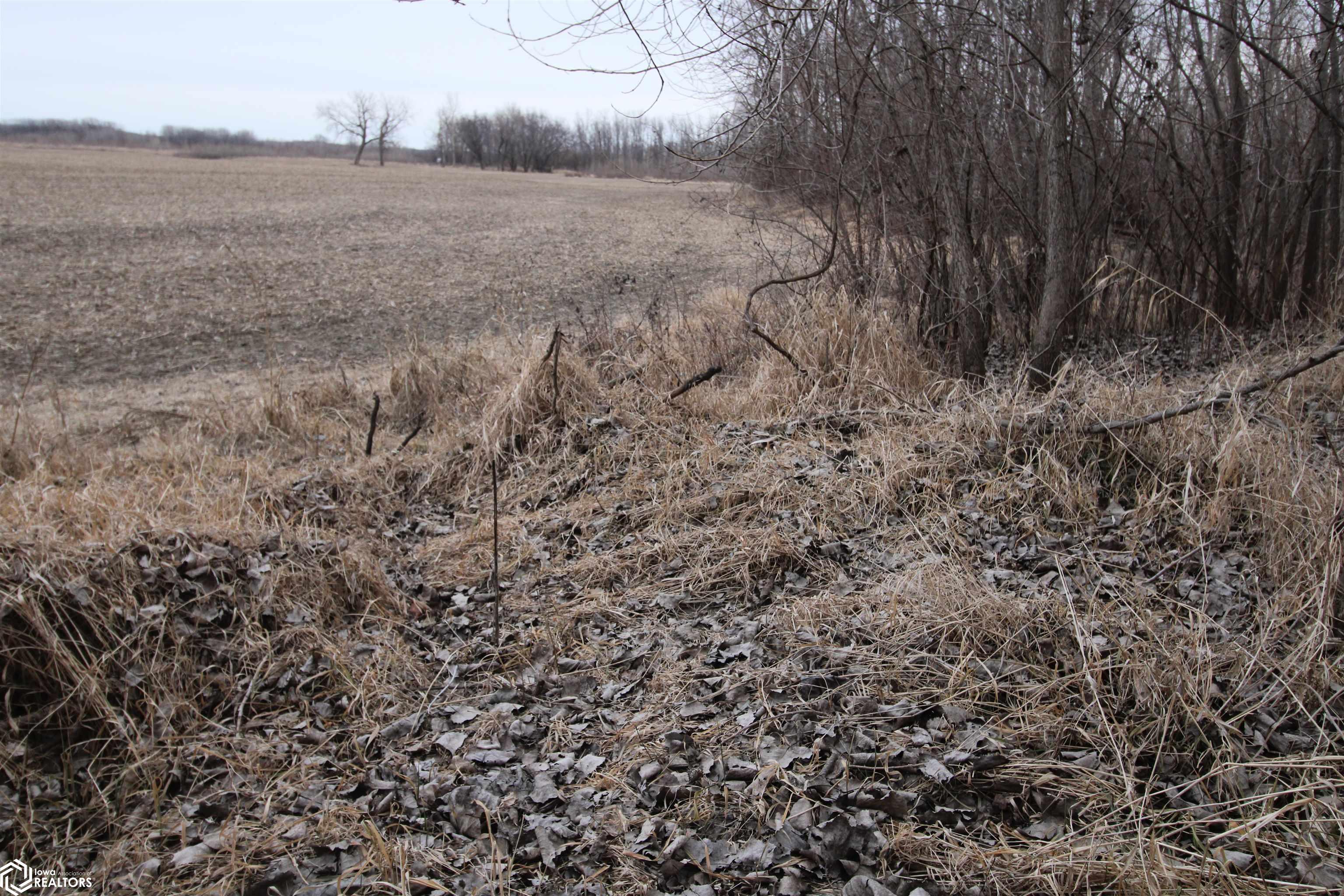 TBD Valley Rd, Keokuk, Iowa image 6