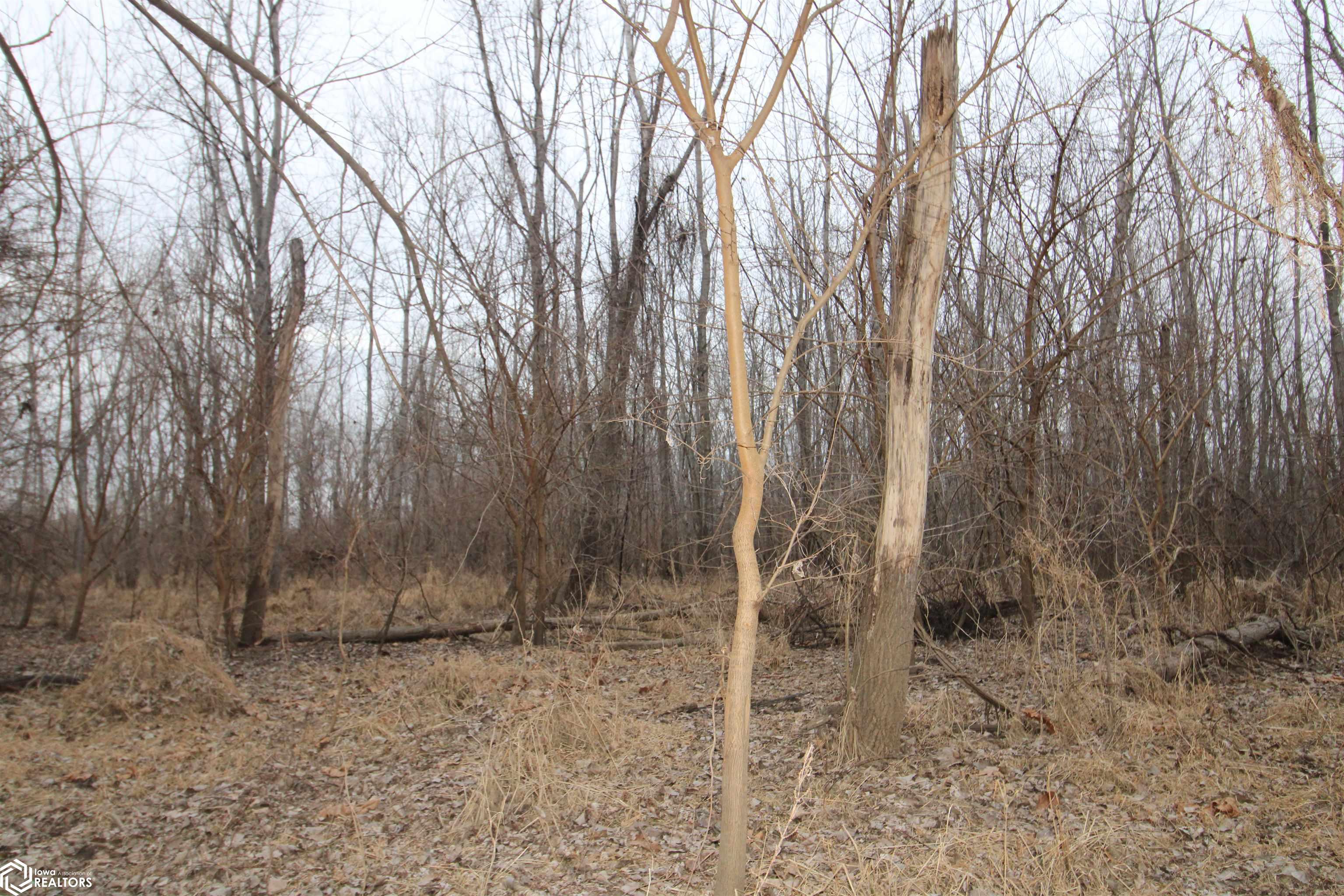 TBD Valley Rd, Keokuk, Iowa image 9
