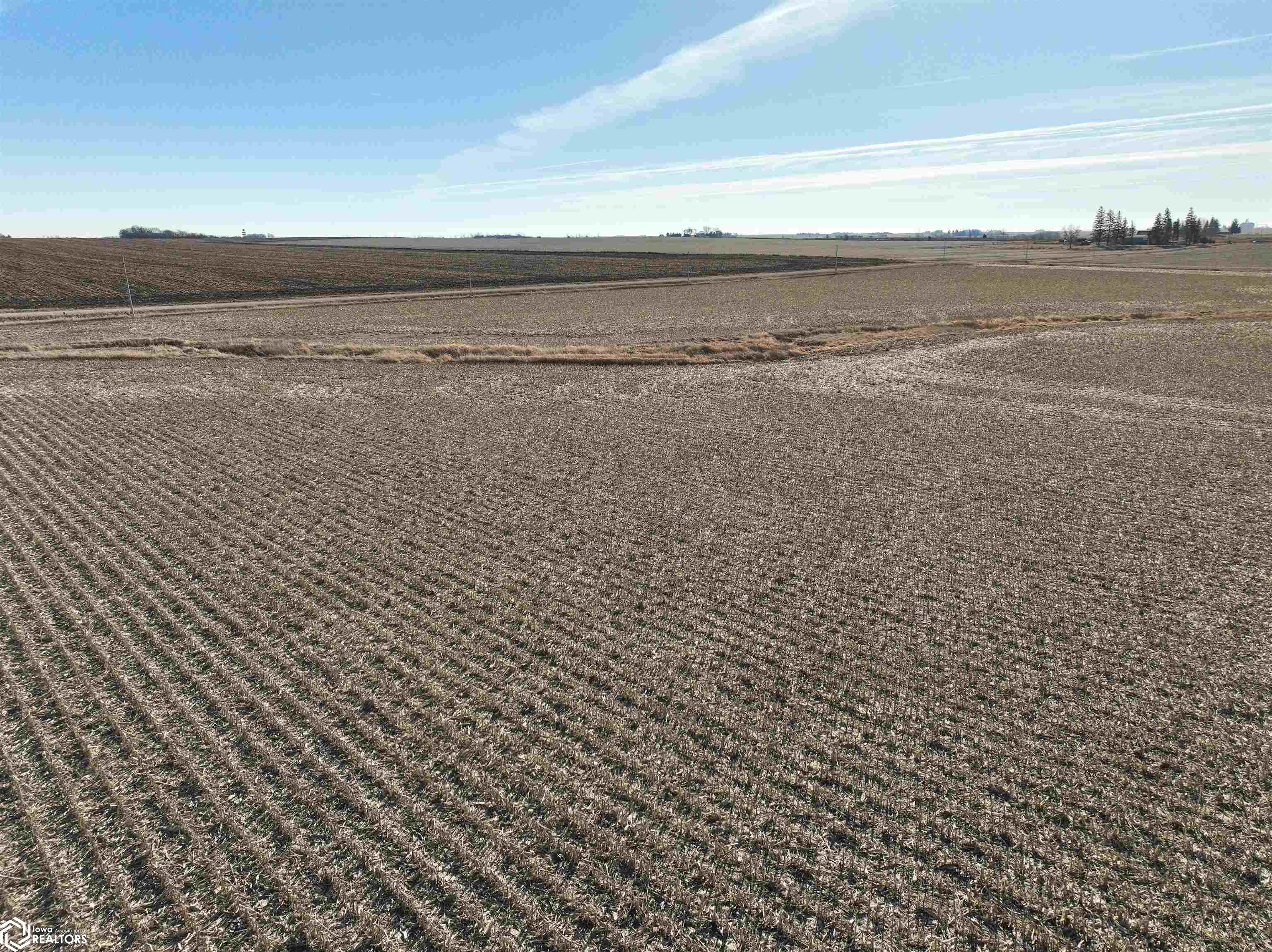 Tract 2 160th Street, Holland, Iowa image 2