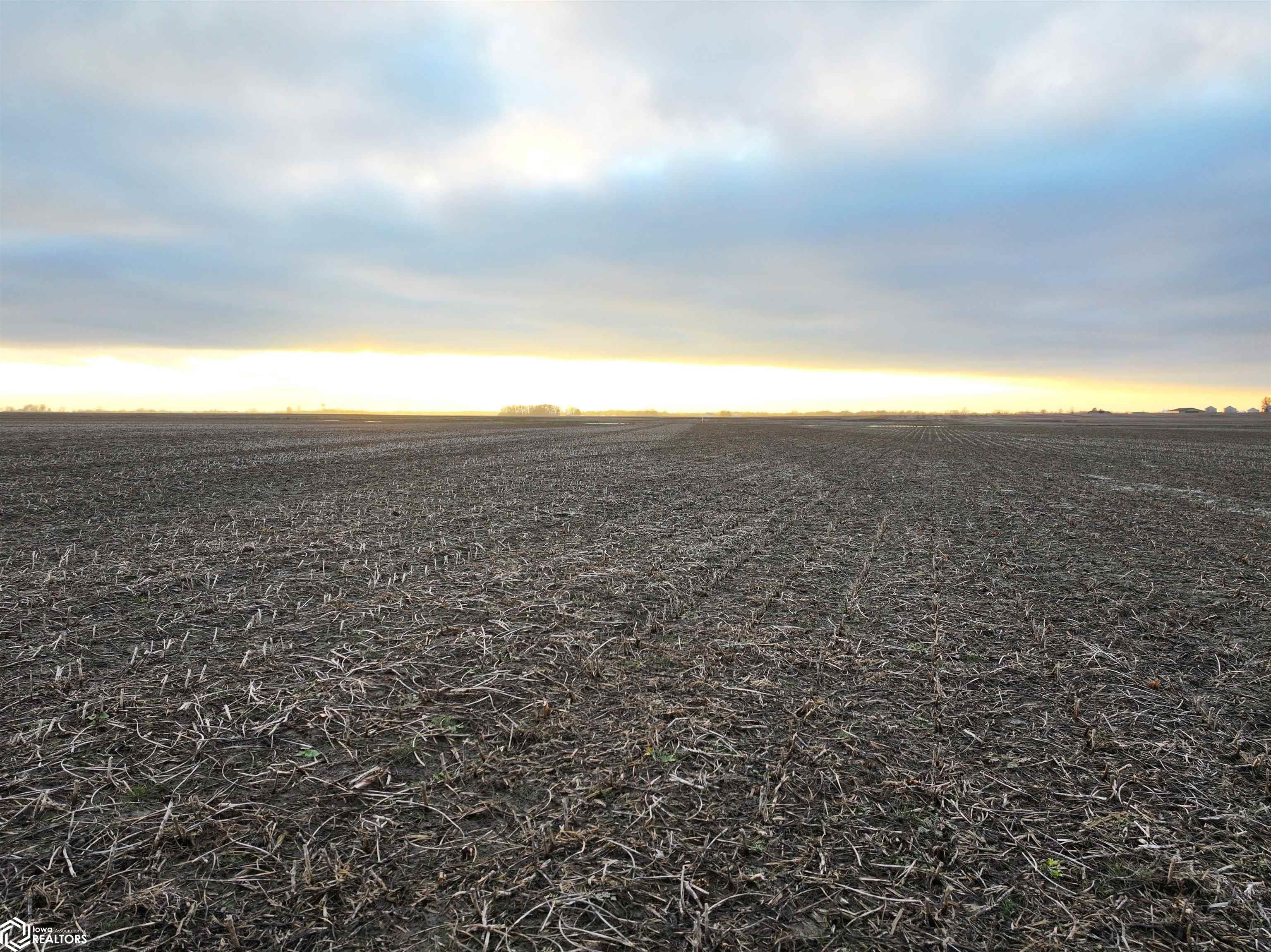 Conn Road, Hamel, Illinois image 7