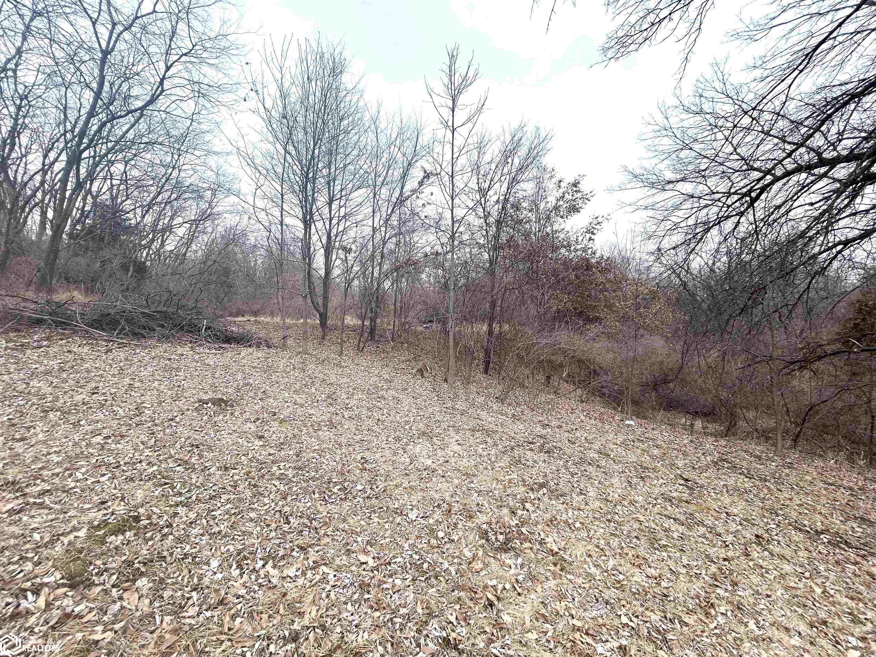11545 90th Street, Ottumwa, Iowa image 10