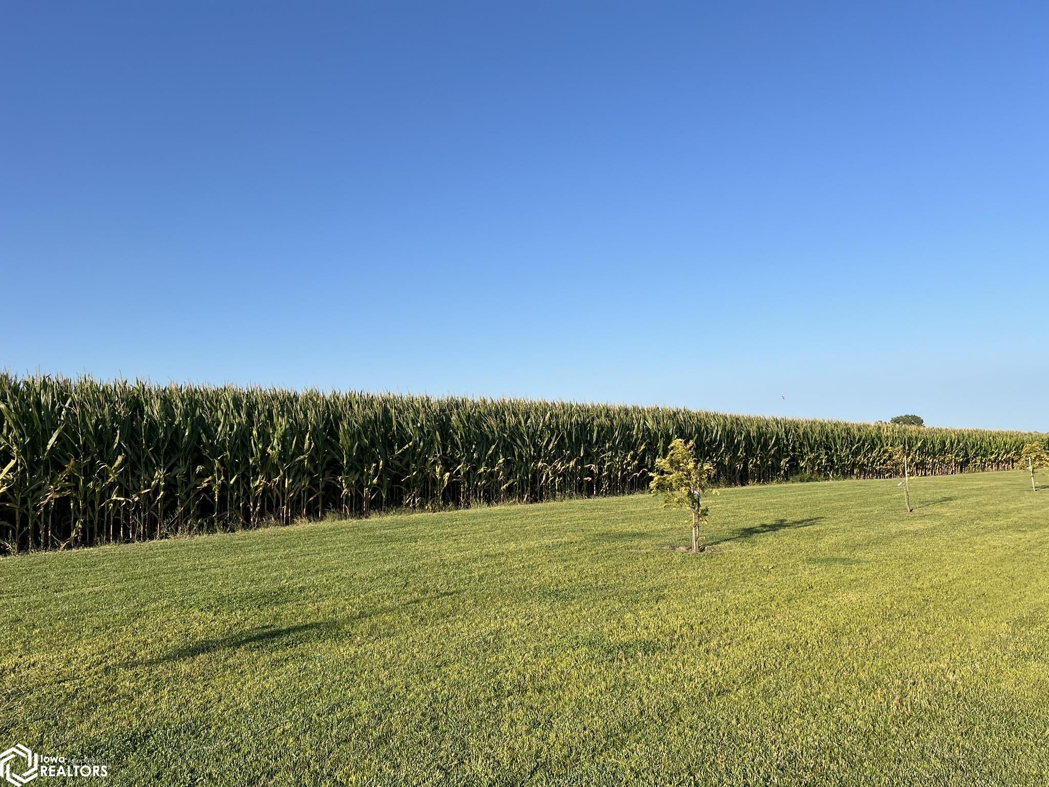 1803 Elk Street, Osceola, Iowa image 18