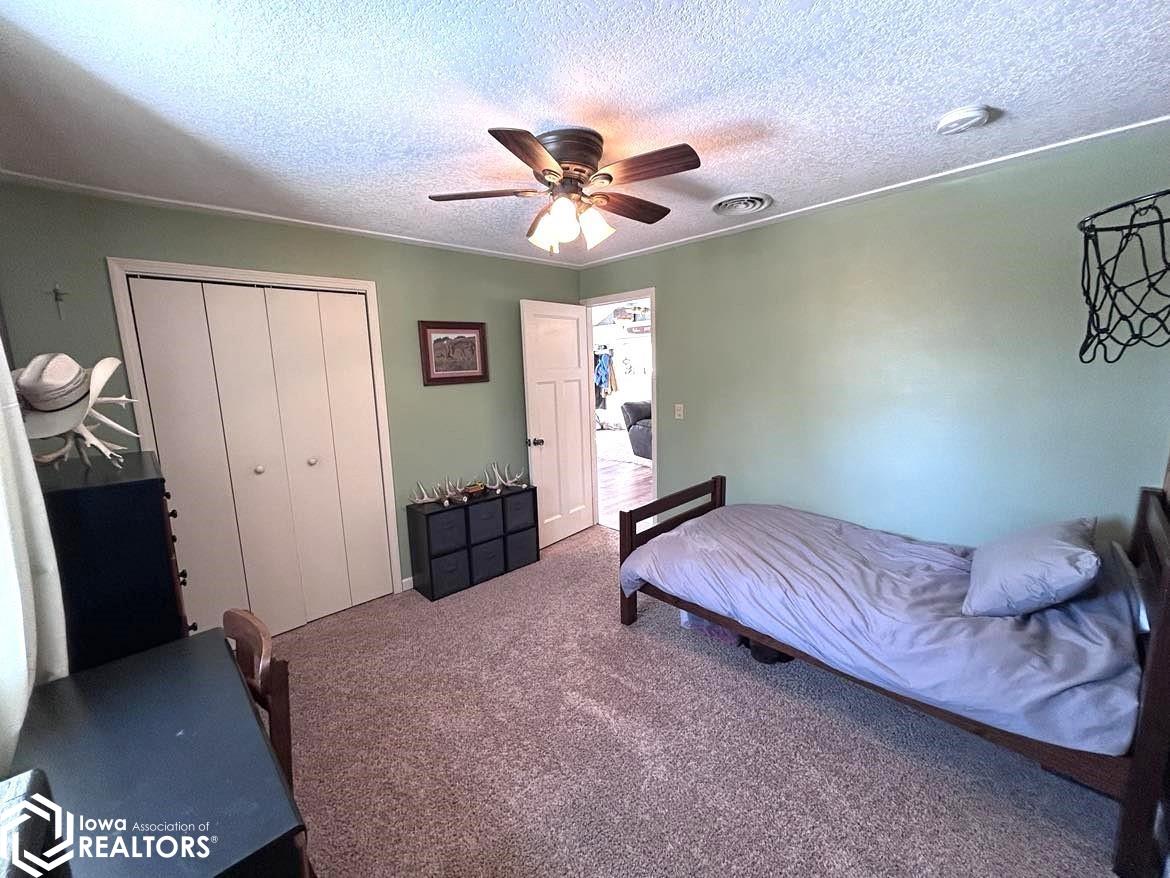 12178 Nettle Avenue, Bloomfield, Iowa image 35