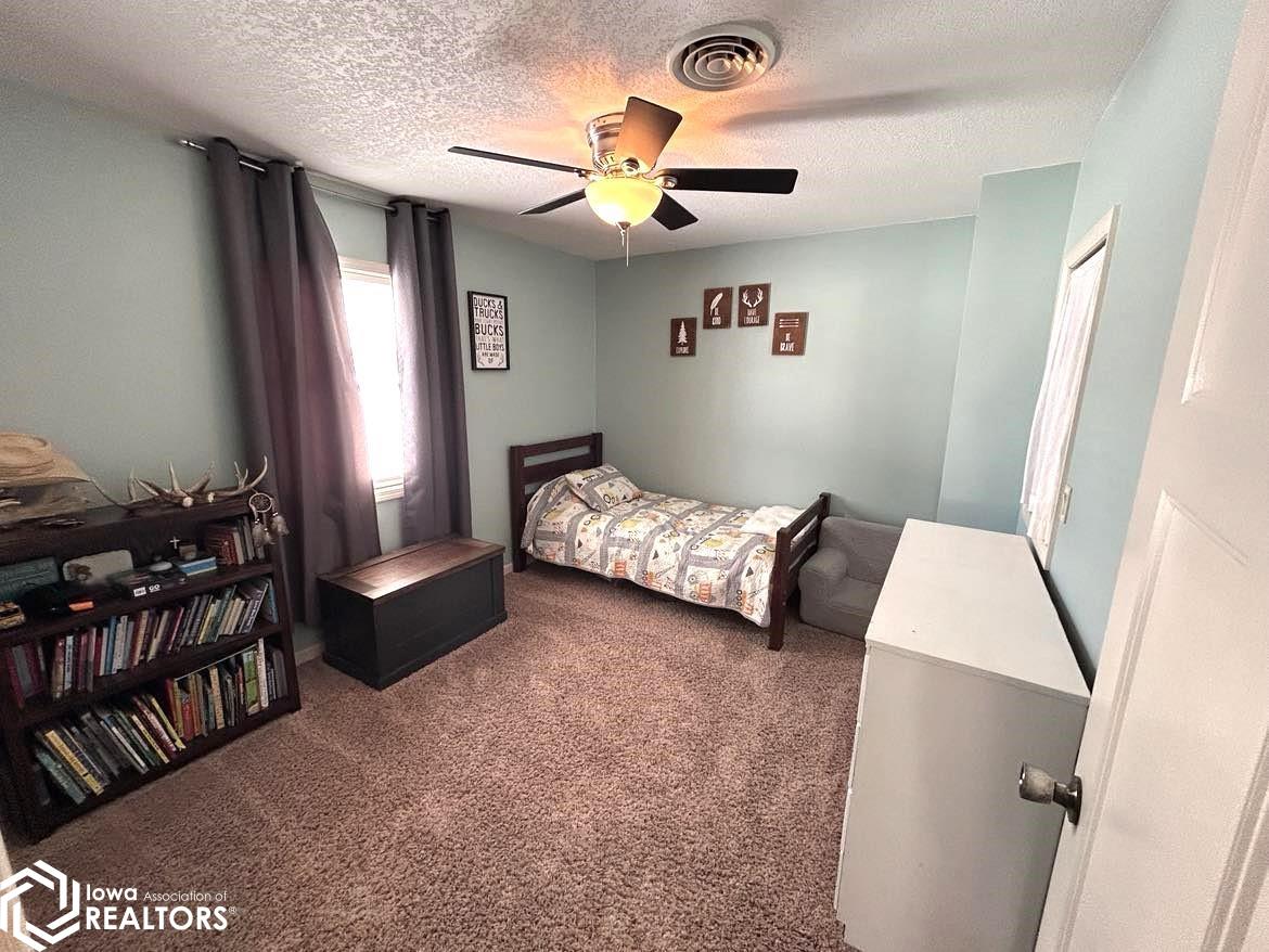 12178 Nettle Avenue, Bloomfield, Iowa image 38