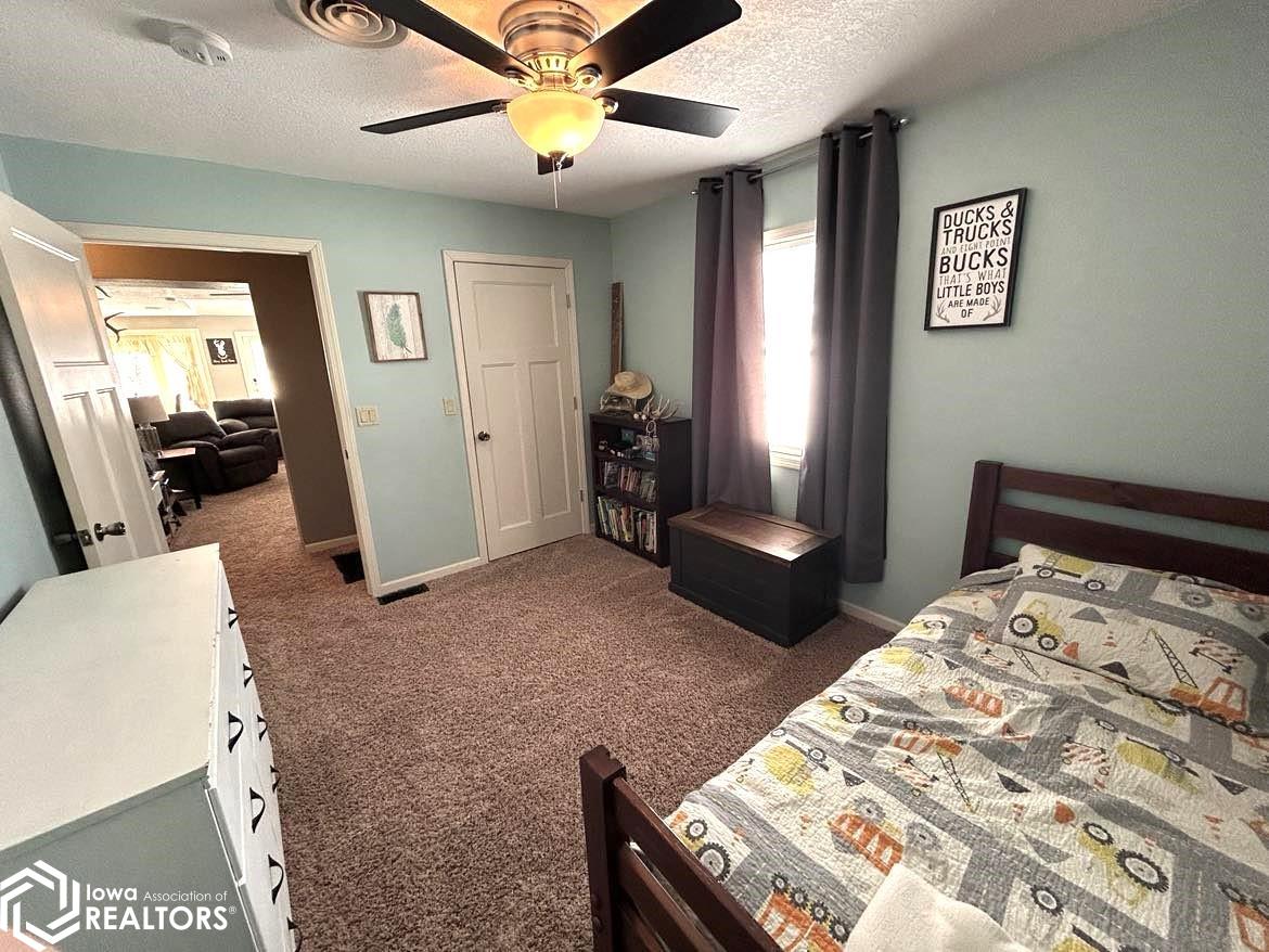 12178 Nettle Avenue, Bloomfield, Iowa image 39