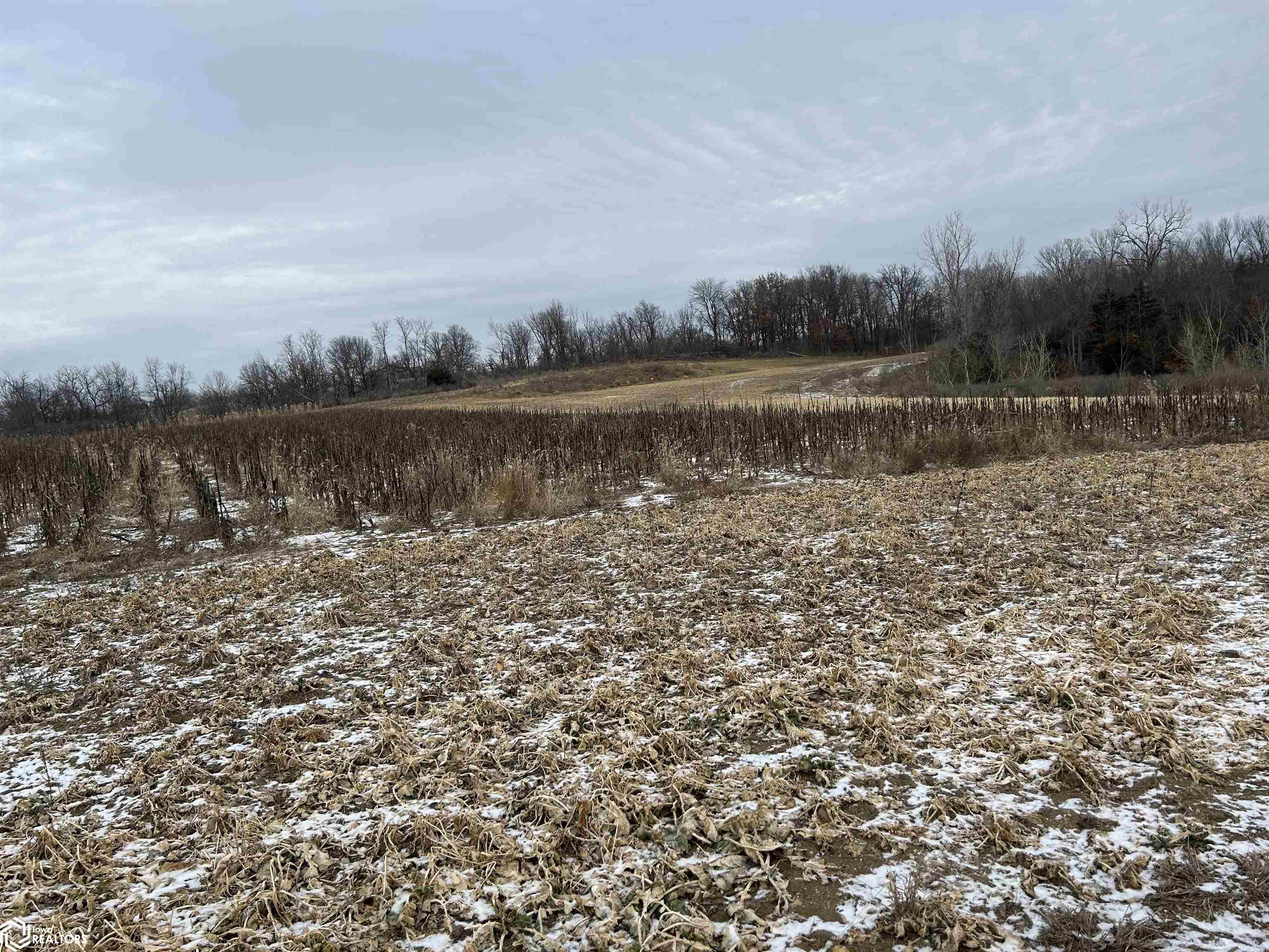 6110 165th Street, Albia, Iowa image 21
