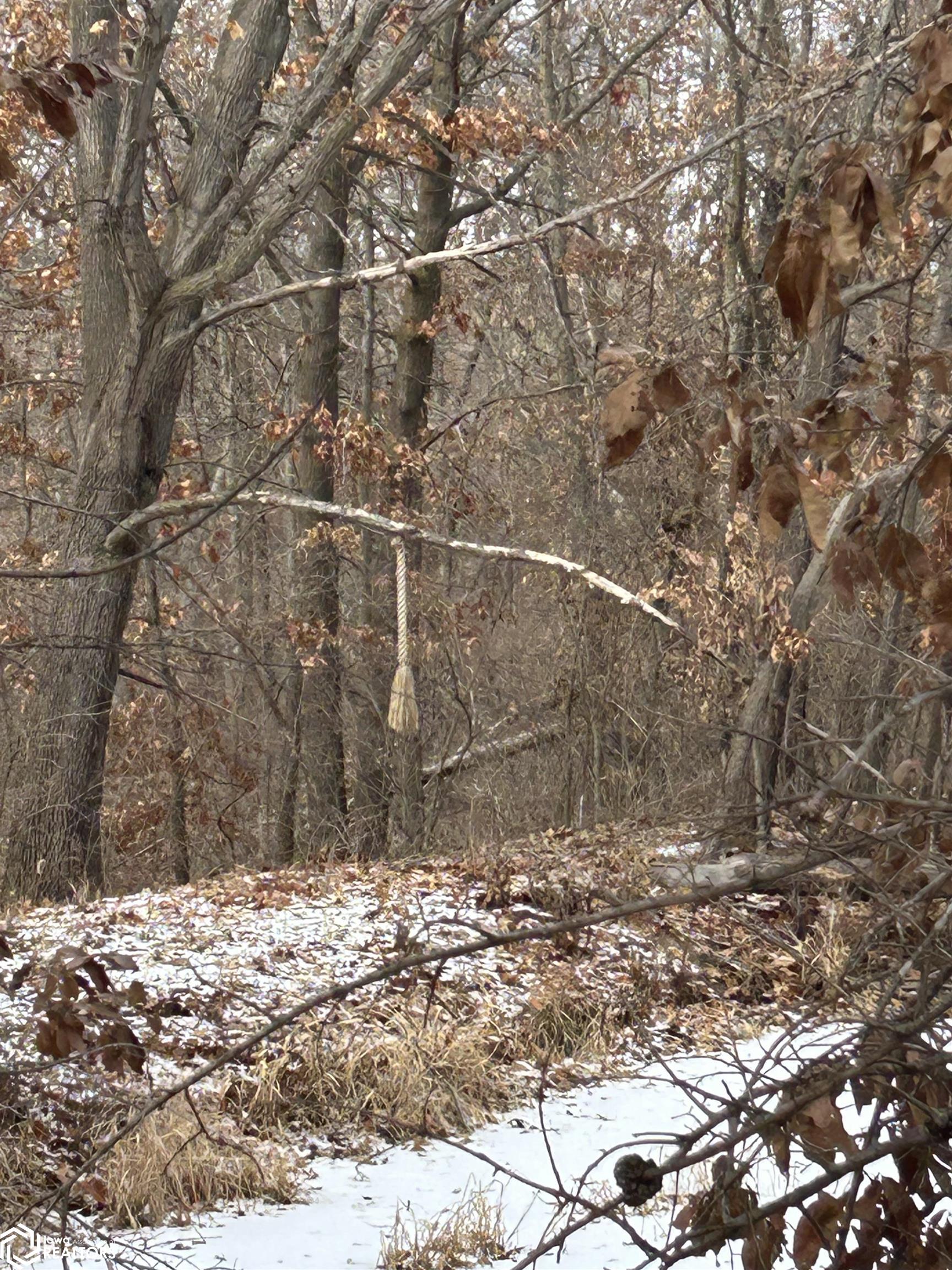N Forrest Ave, Ottumwa, Iowa image 11