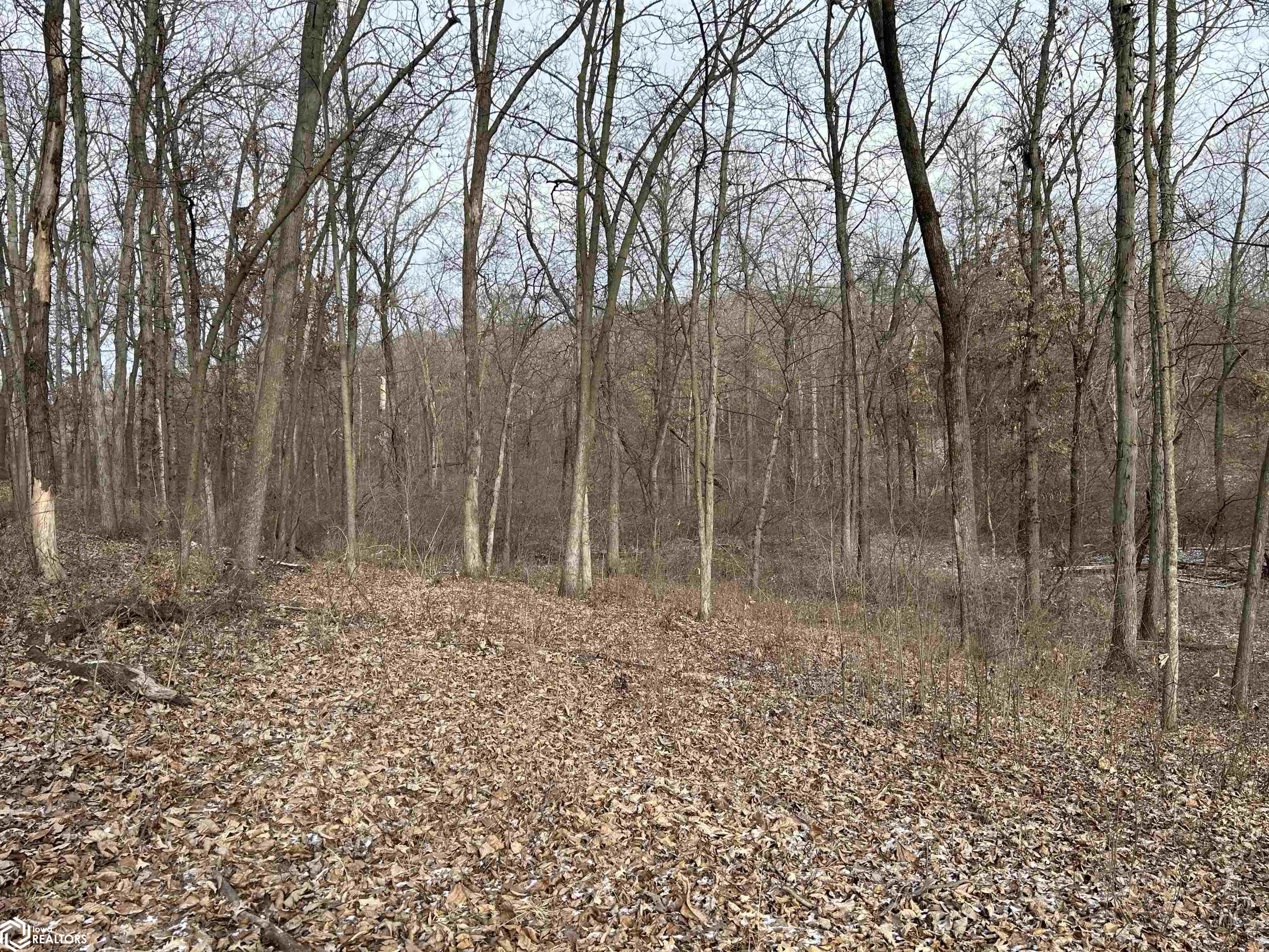 N Forrest Ave, Ottumwa, Iowa image 14