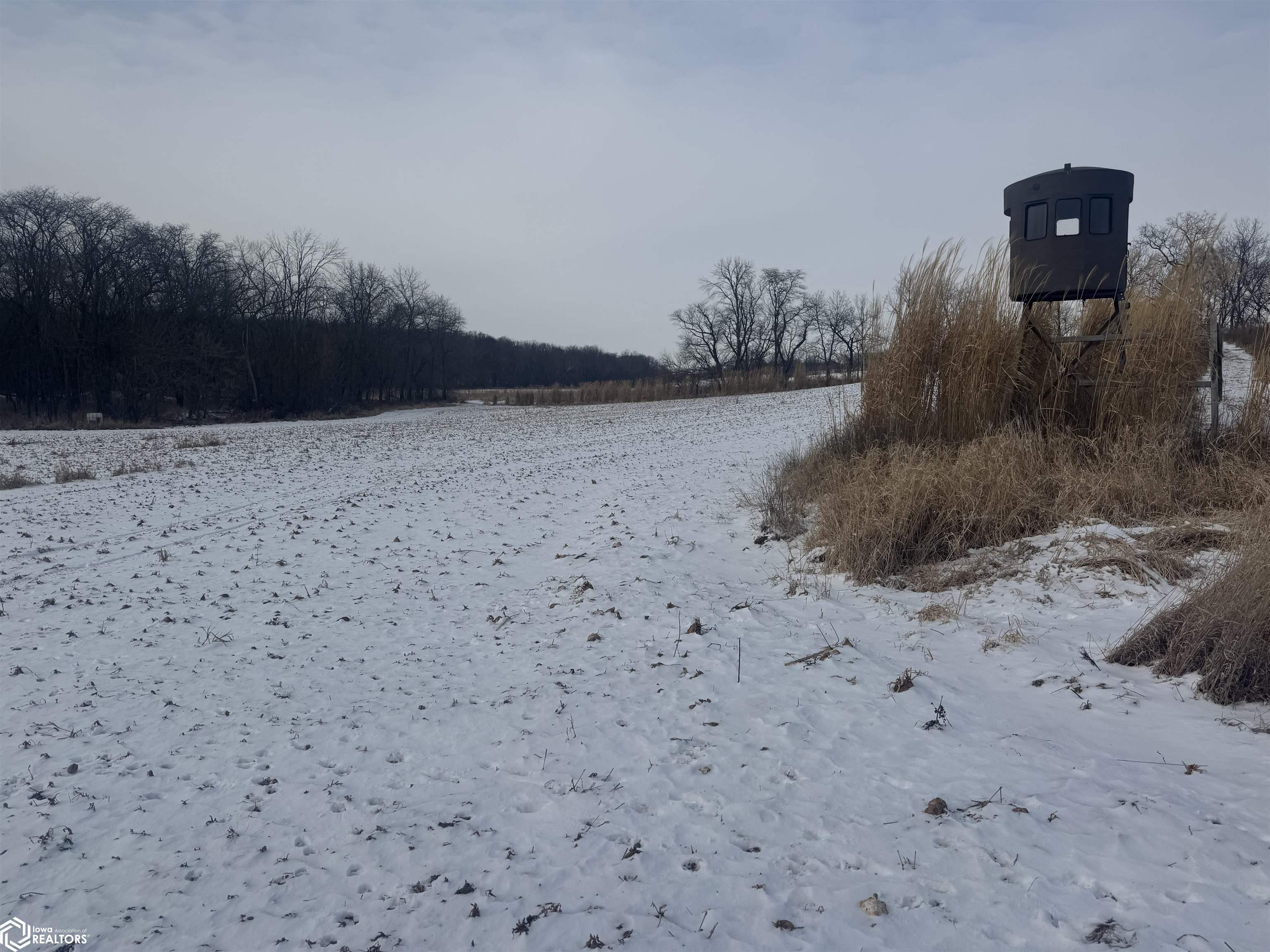Pine Avenue, Fairfield, Iowa image 3