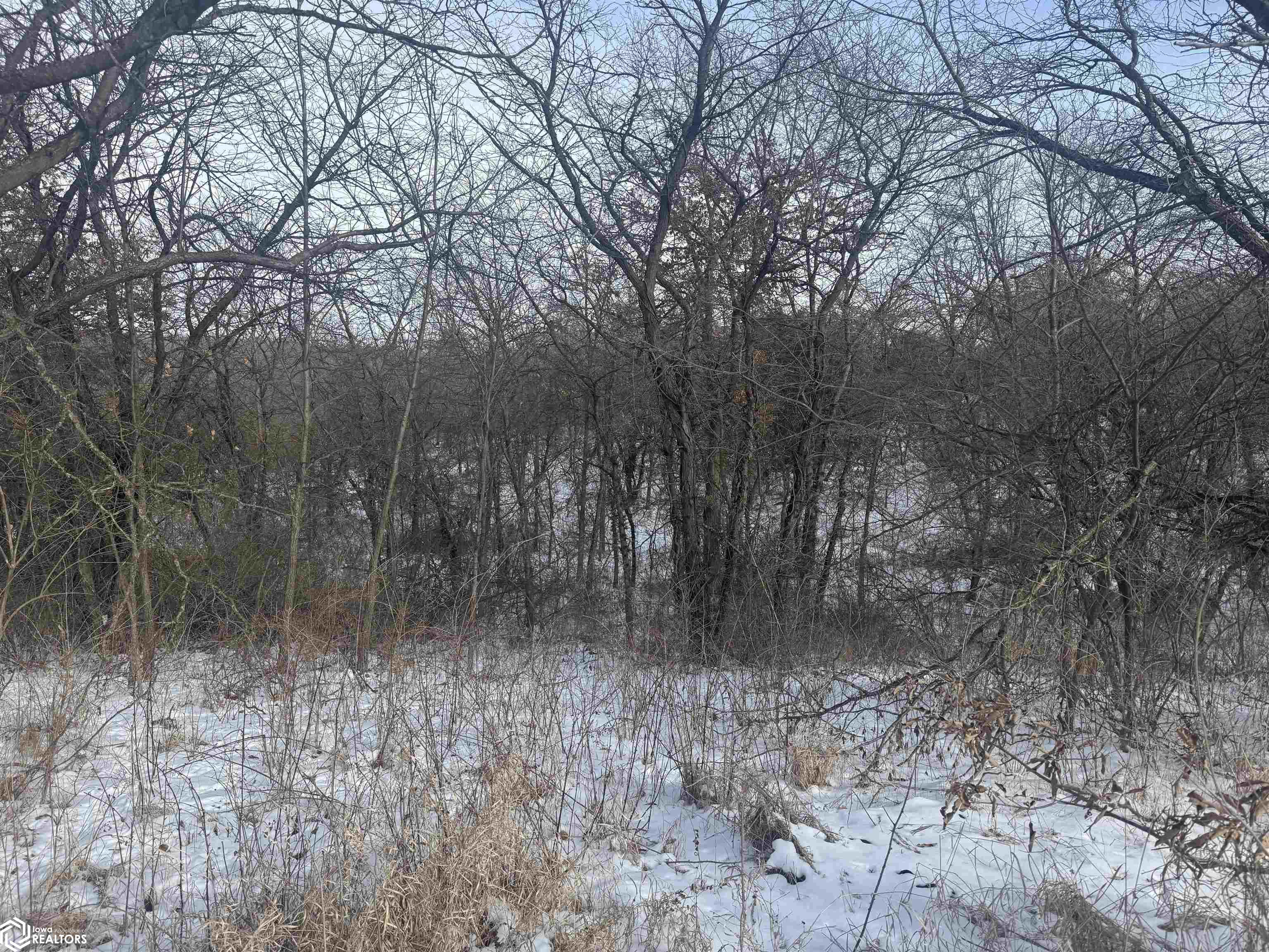 Pine Avenue, Fairfield, Iowa image 5