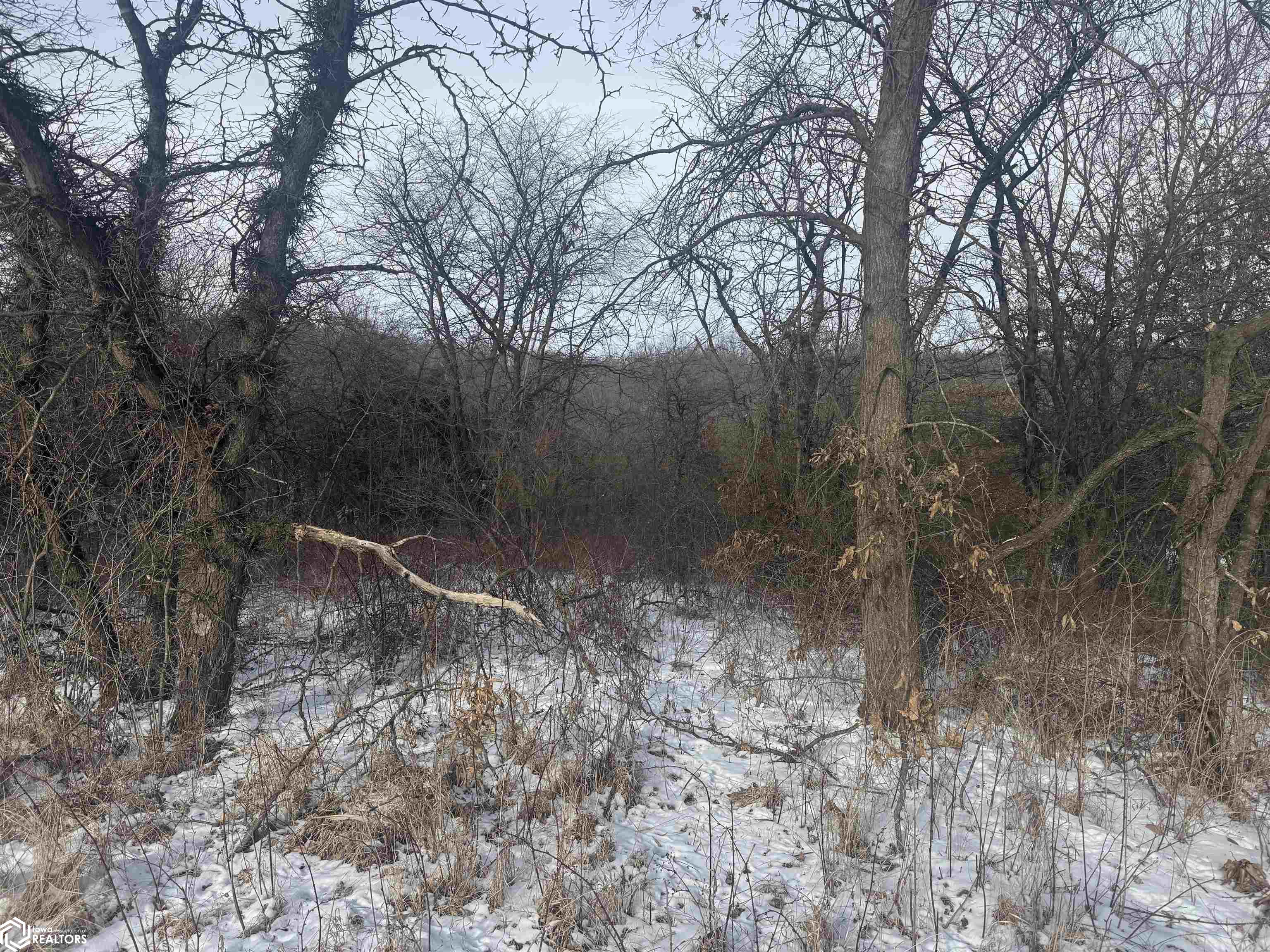 Pine Avenue, Fairfield, Iowa image 6