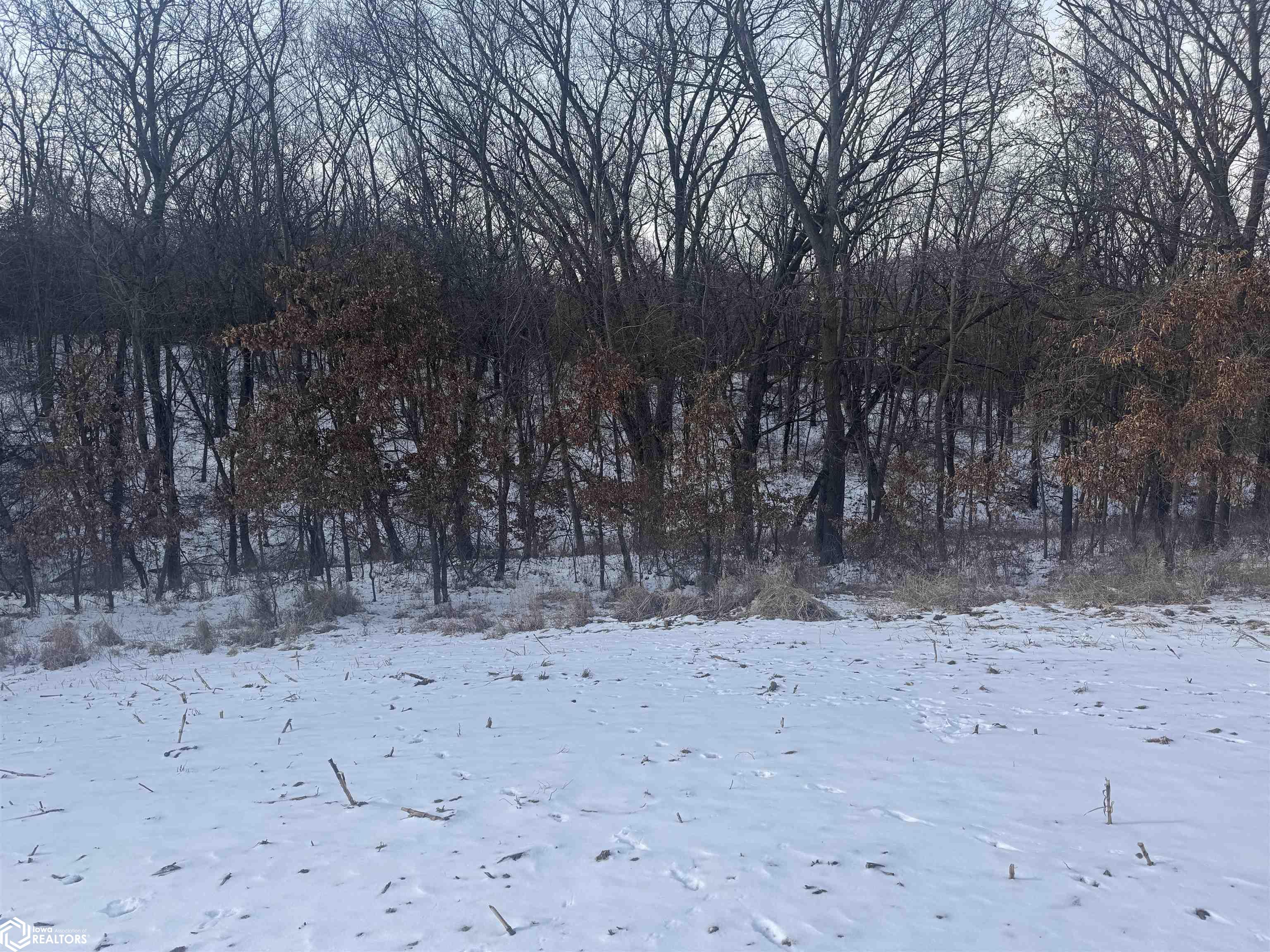 Pine Avenue, Fairfield, Iowa image 7