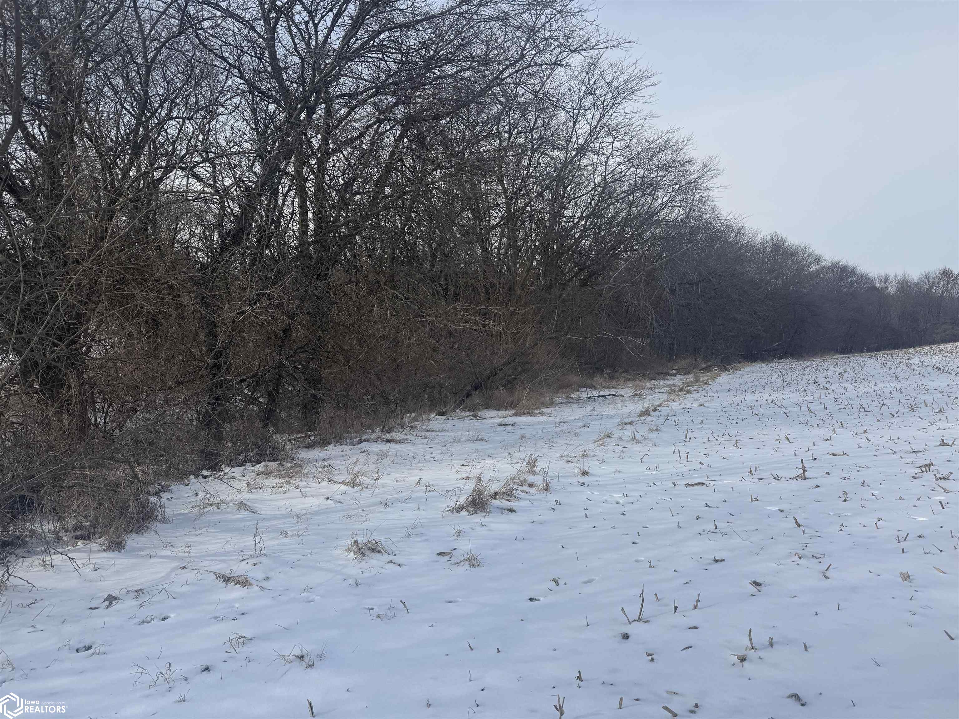 Pine Avenue, Fairfield, Iowa image 8
